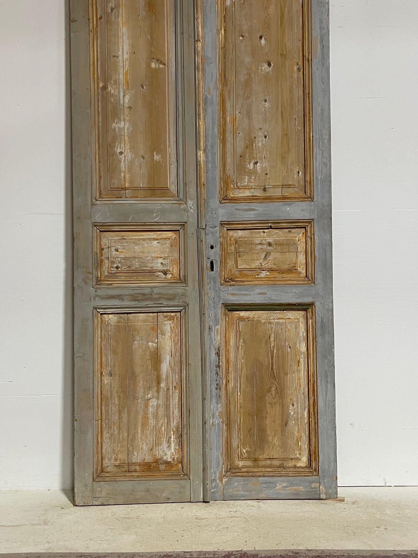 Antique French panel doors (98.5 x 43) G0115s