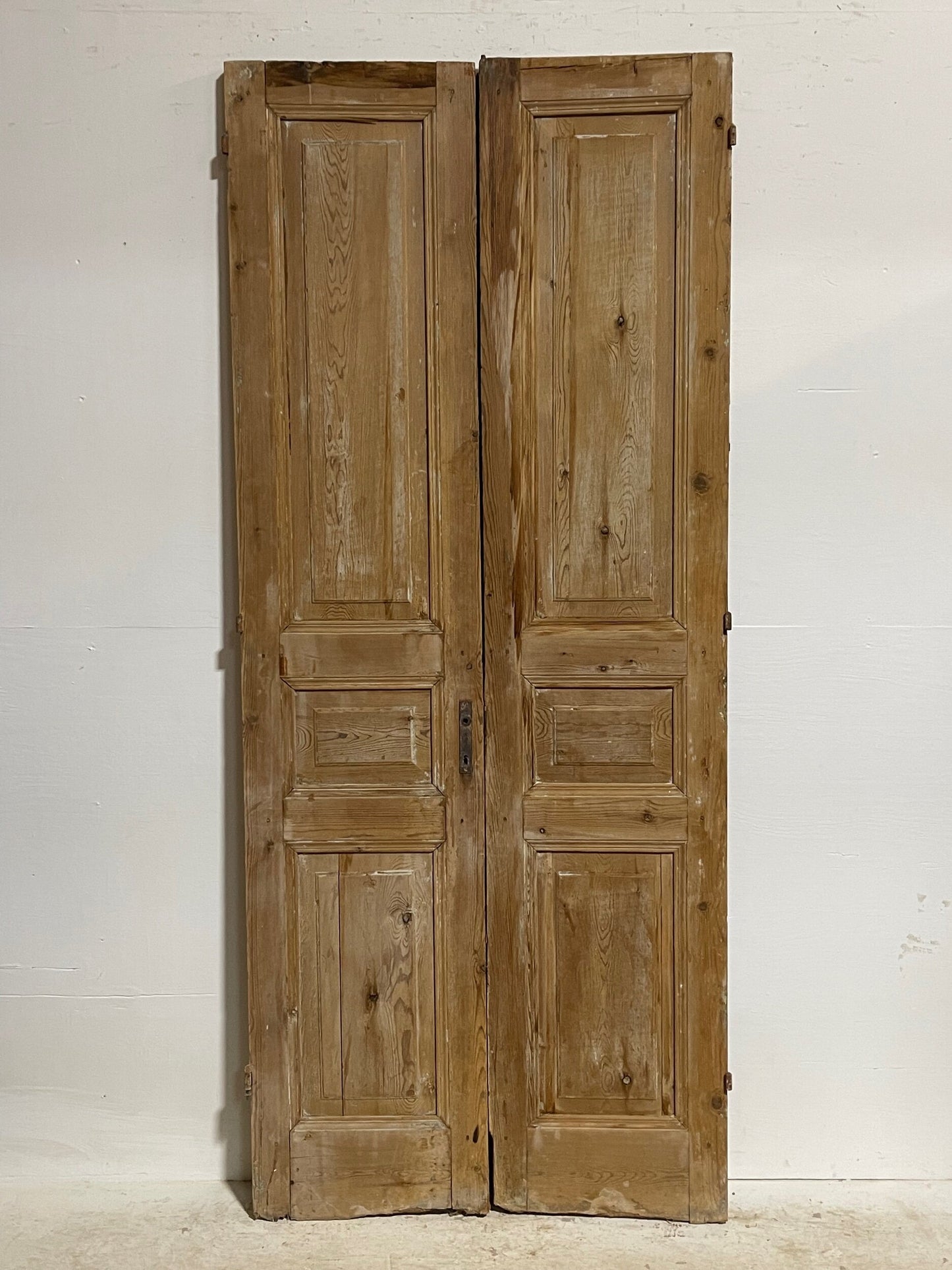 Antique French Panel doors (92x39) H0068s
