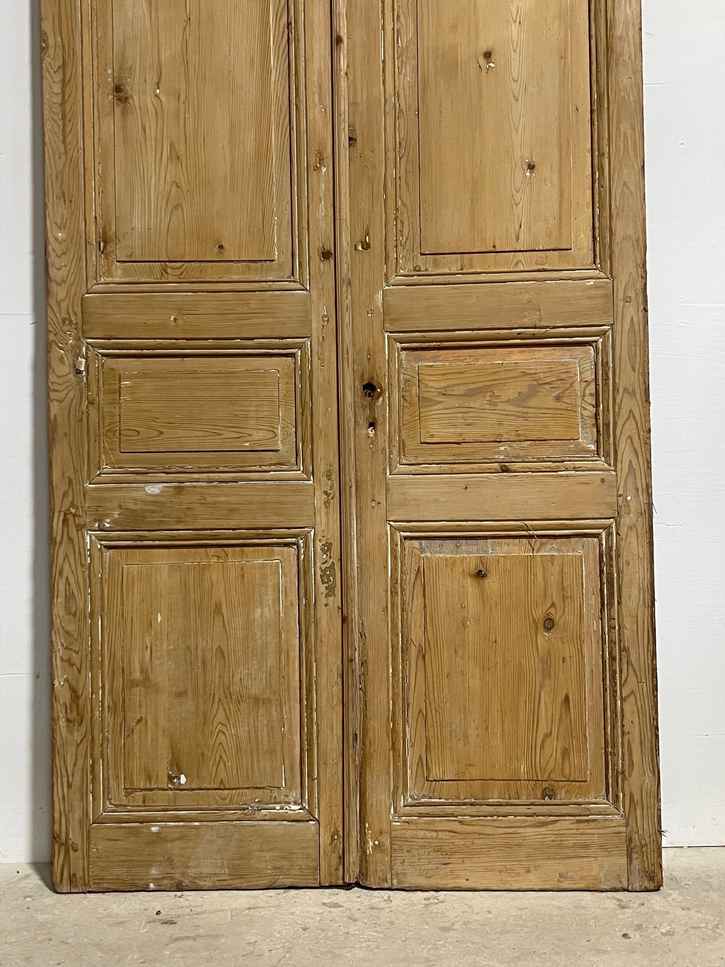 Antique French panel doors (102.5x49.5) I121
