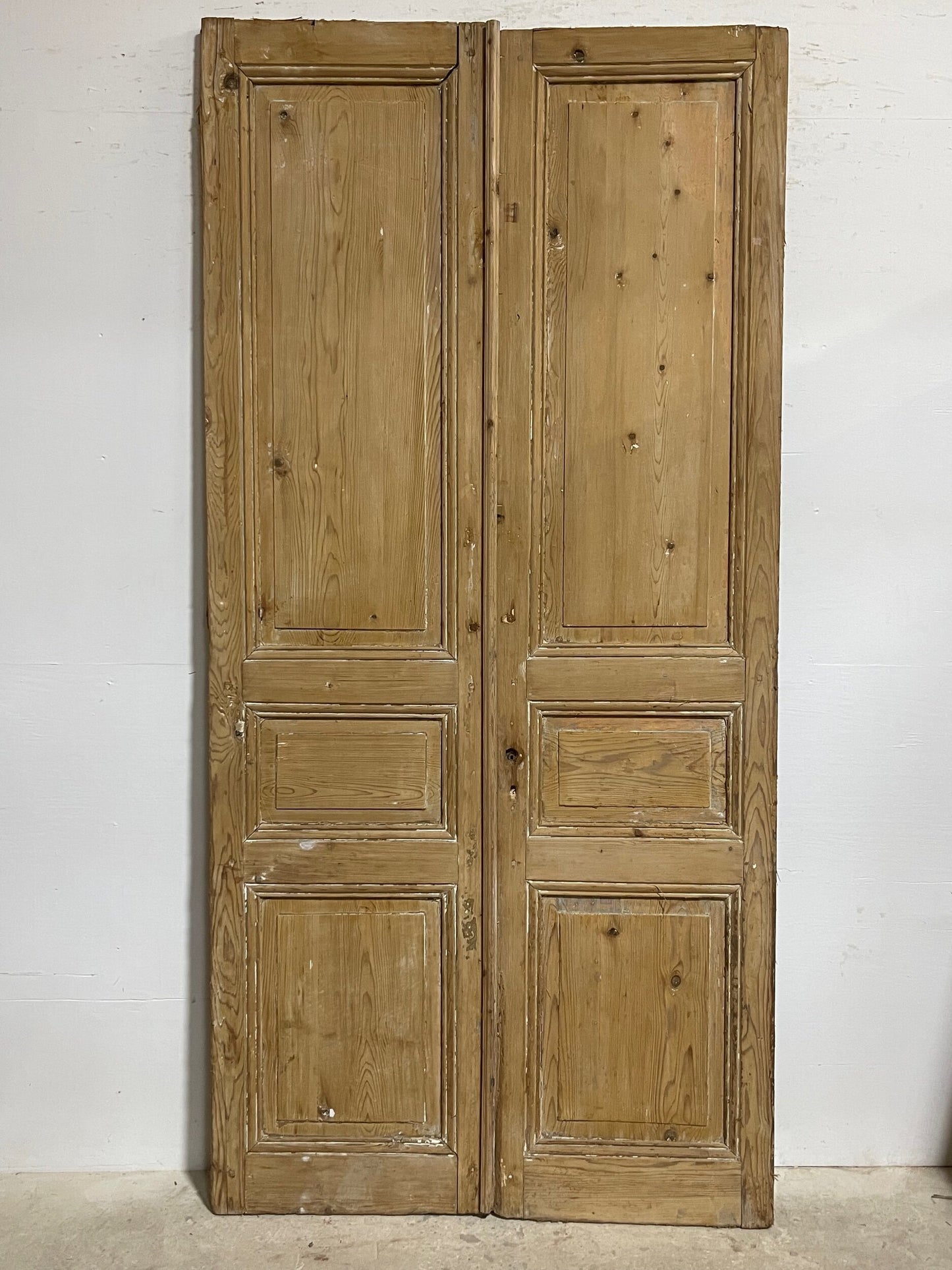 Antique French panel doors (102.5x49.5) I121