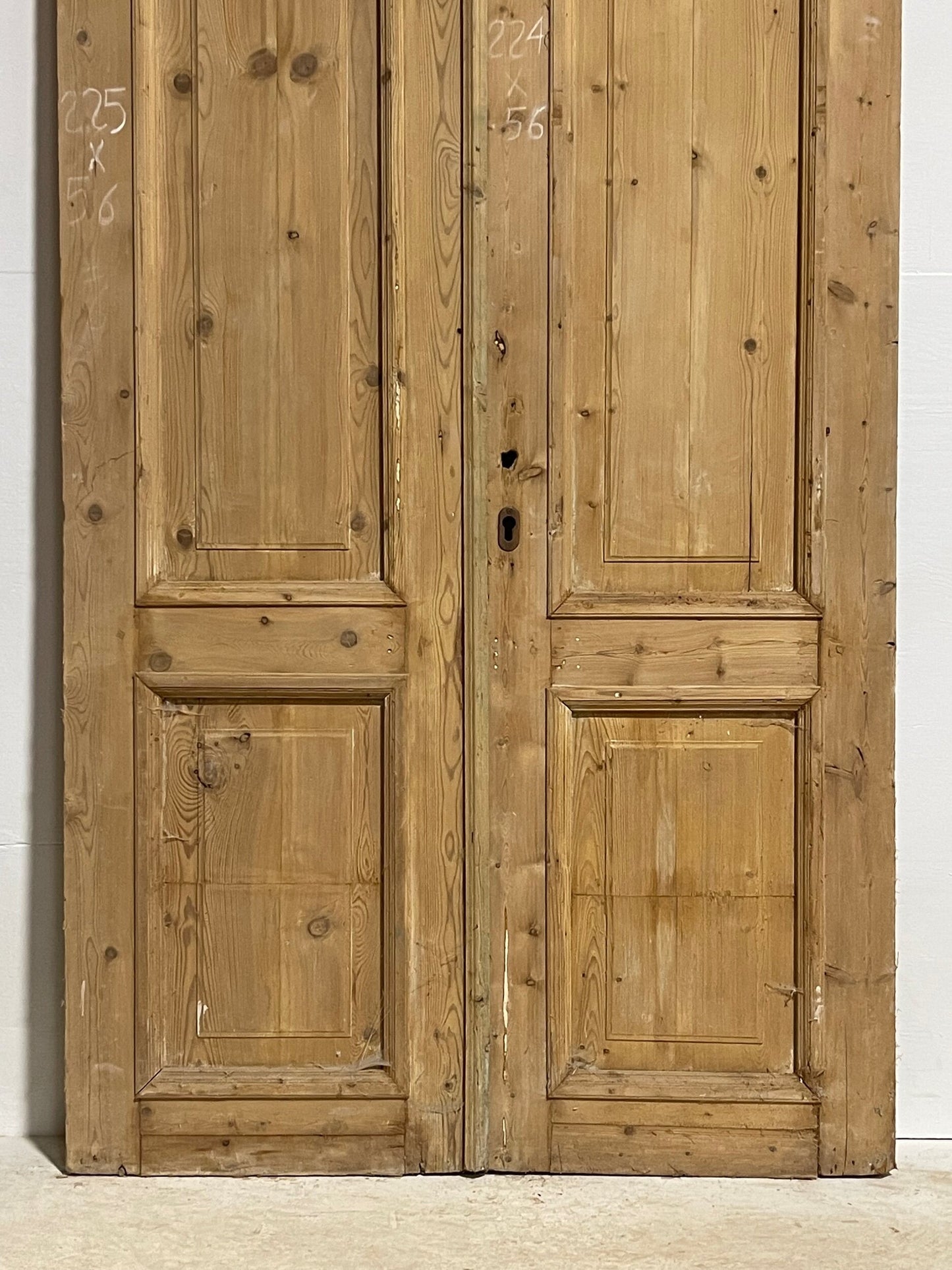 Antique French panel doors (88x44) H0049s