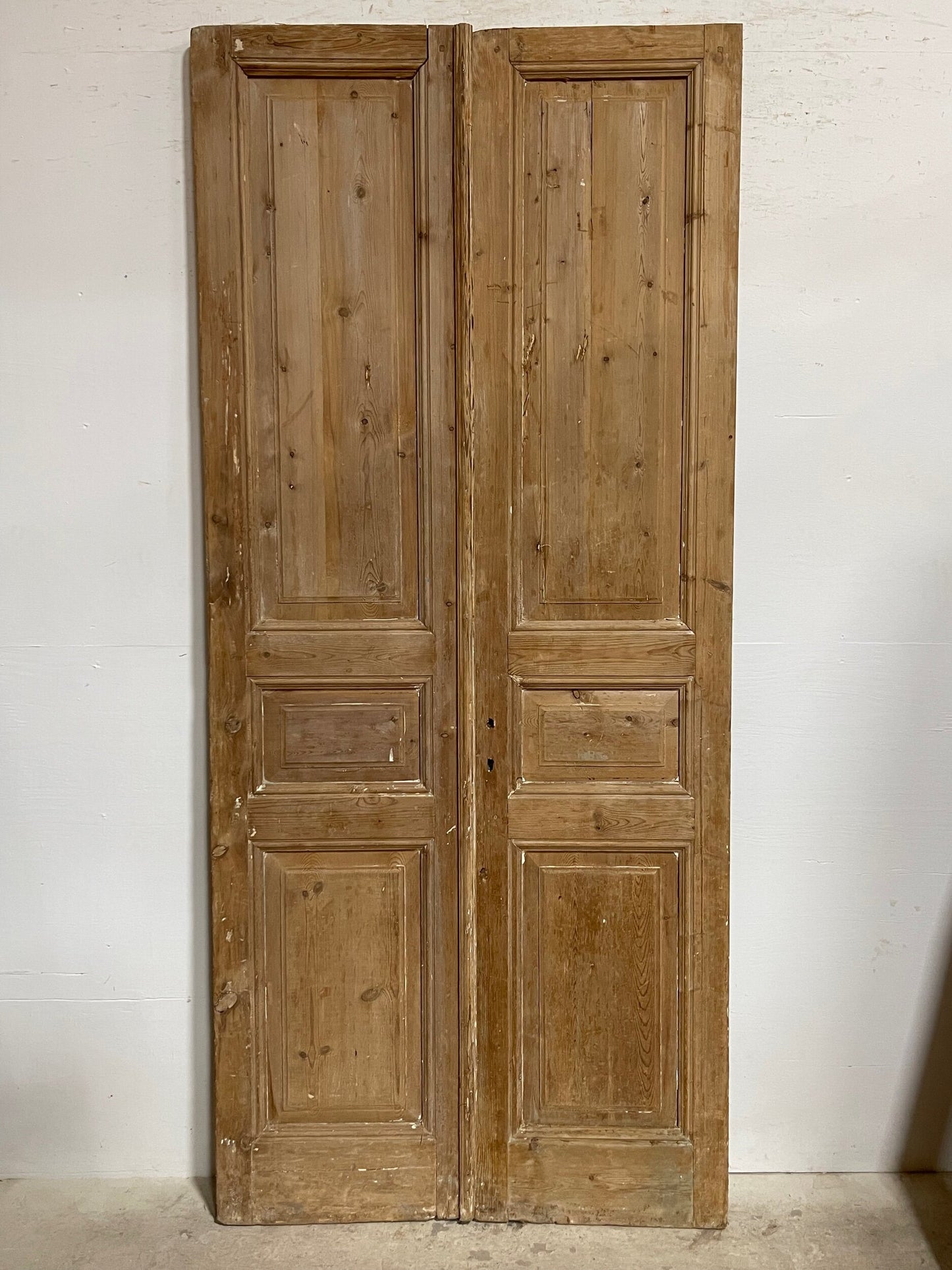 Antique French panel doors (97.25x43) I179a