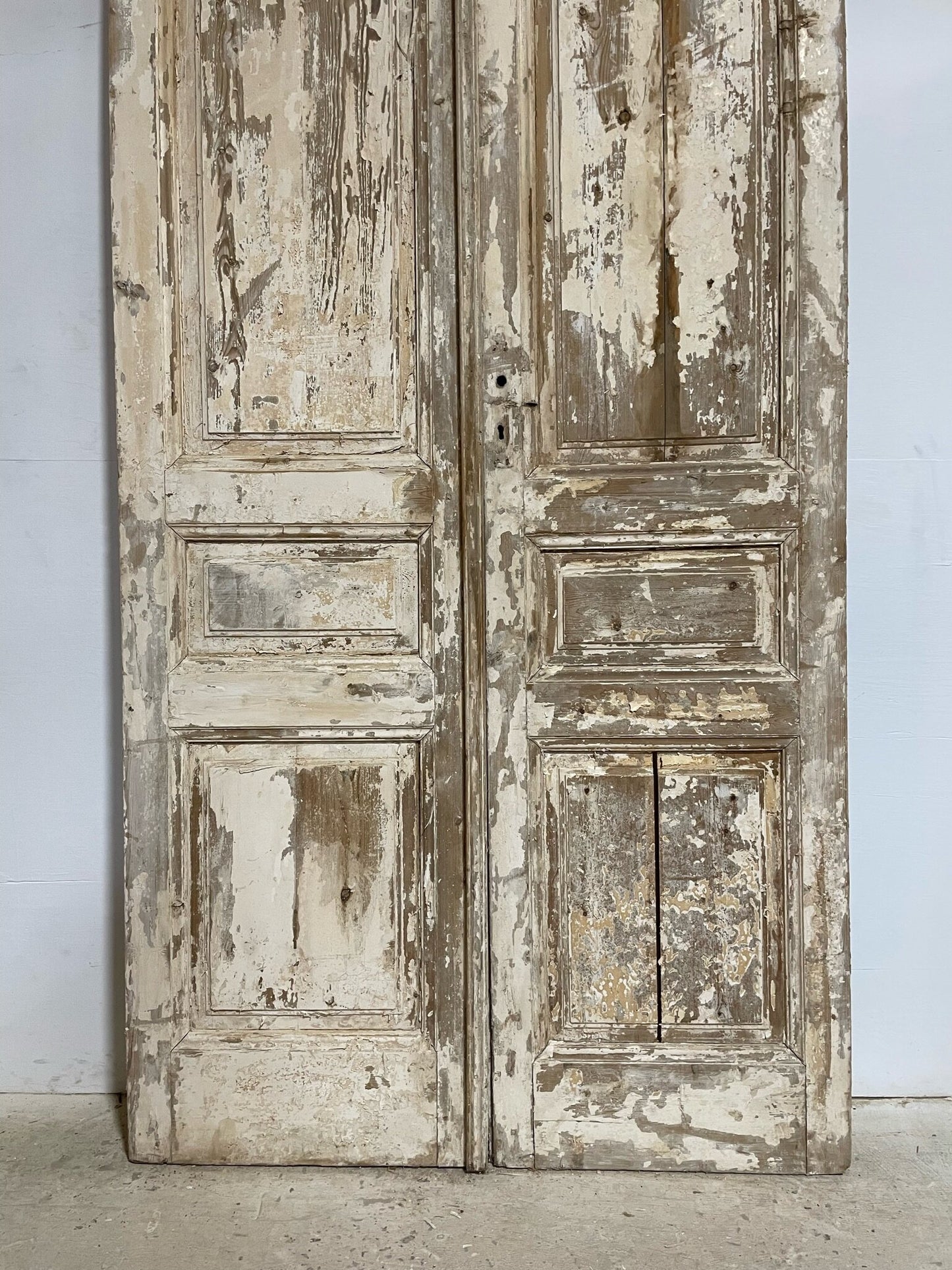 Antique French door (105.25x48.5) F0928