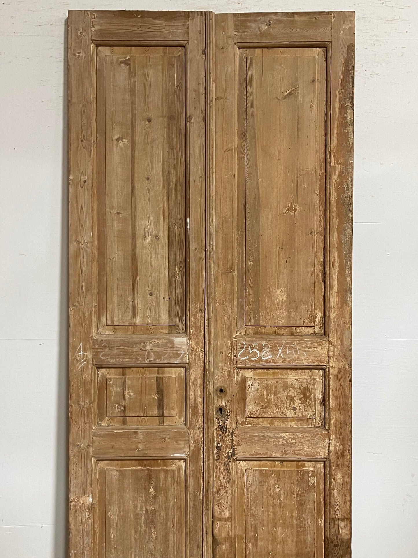 Antique French panel doors (99.5x44) I141