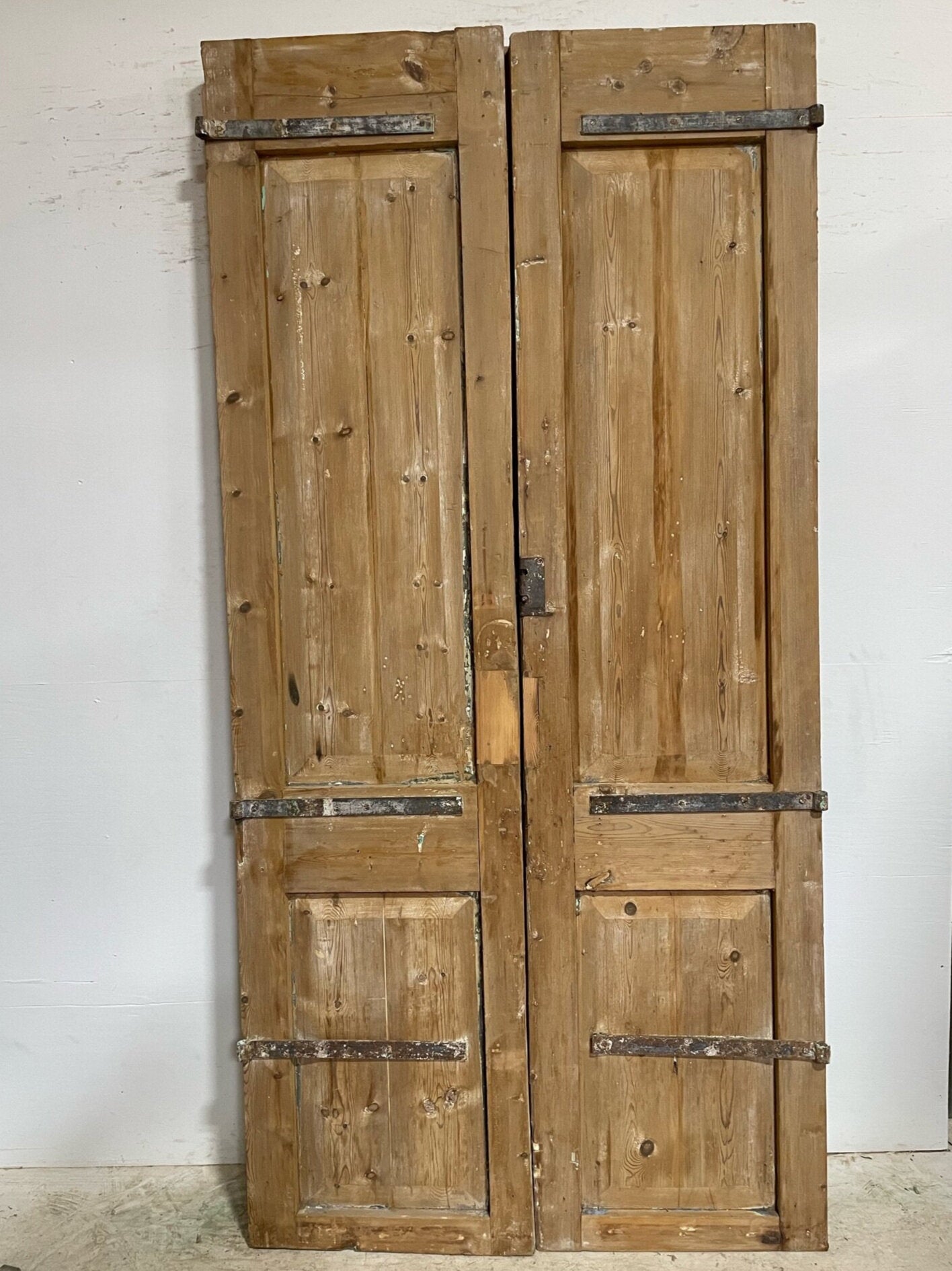 Antique French door (101.5x49.75) F0926