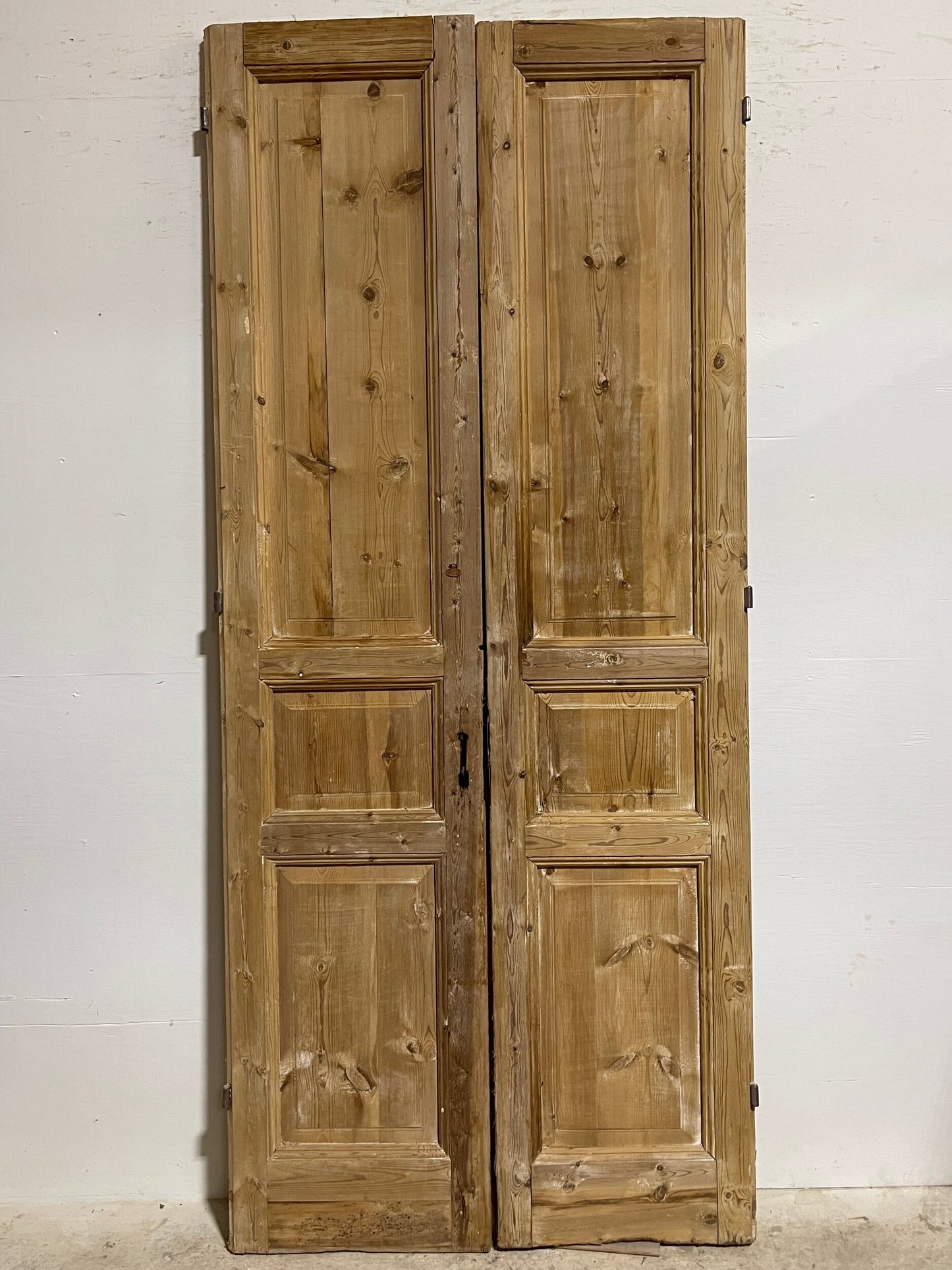 Antique French panel doors (101 x 43.75) I060