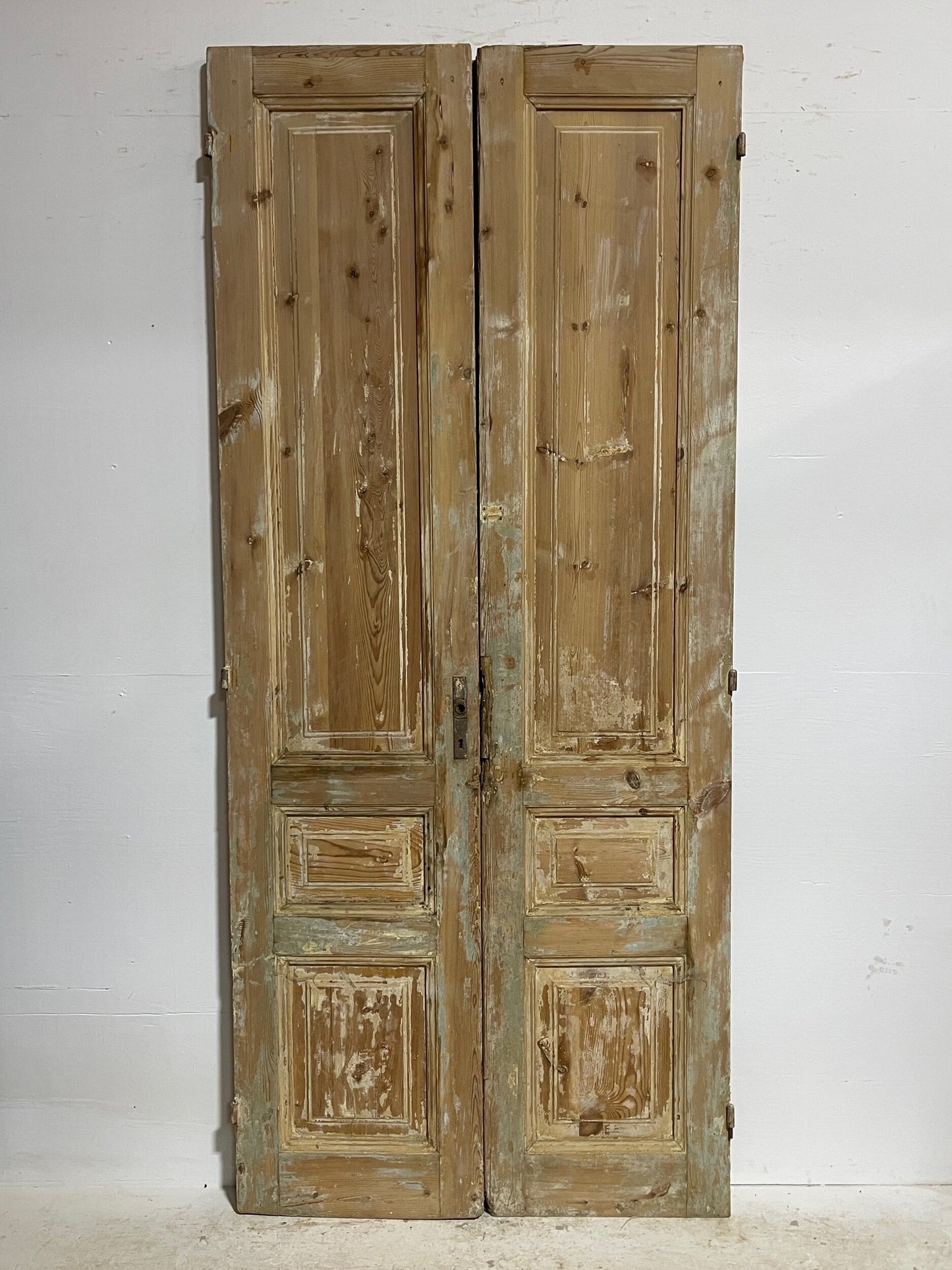 Antique French doors (100.5x44.25) H0079s