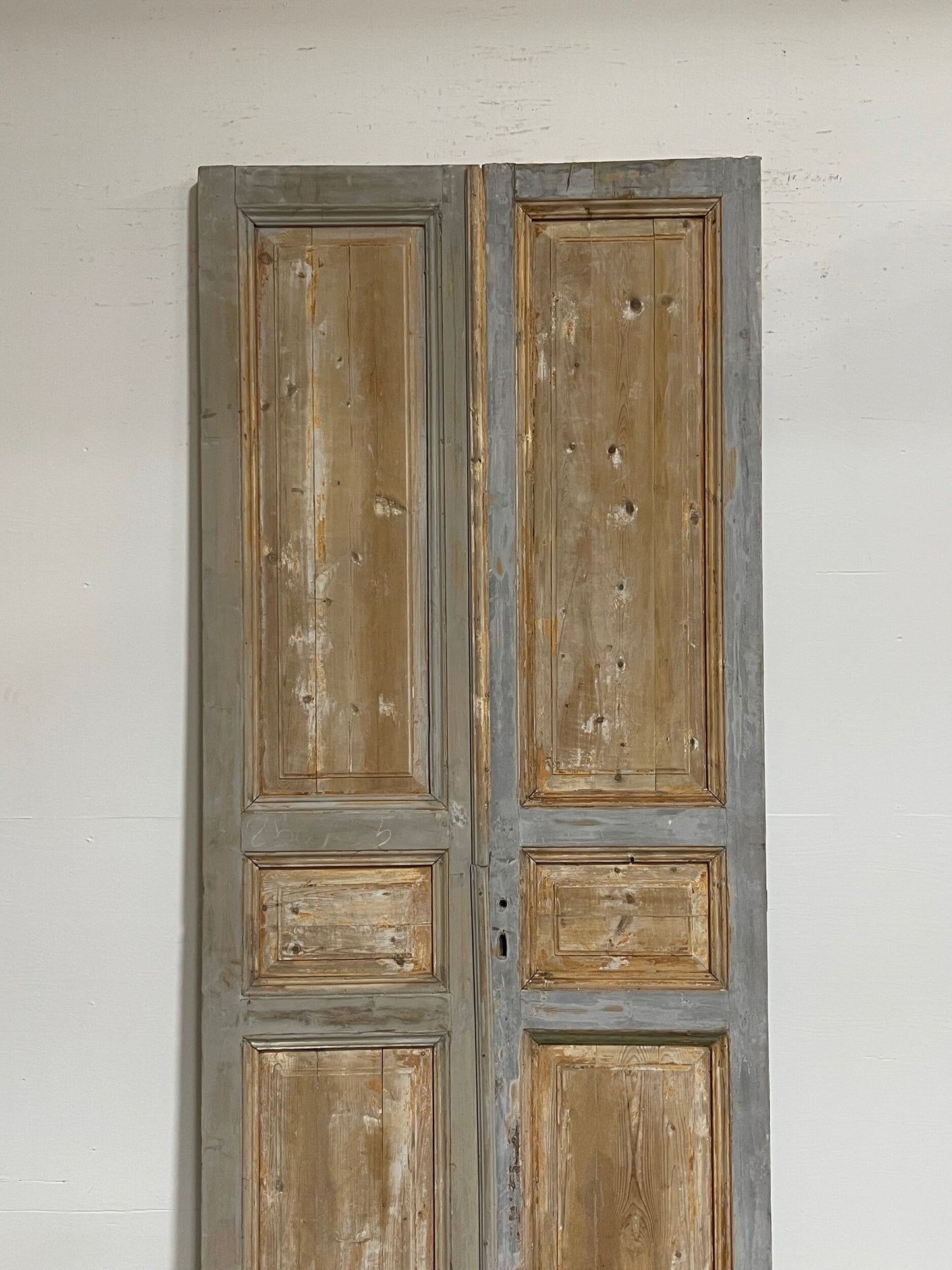 Antique French panel doors (98.5 x 43) G0115s