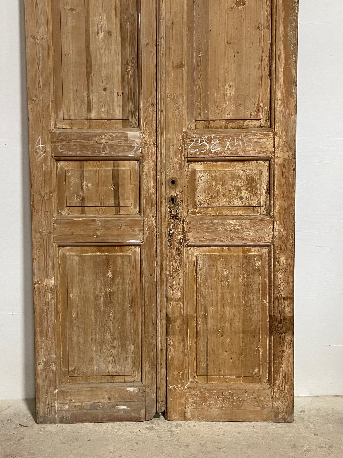 Antique French panel doors (99.5x44) I141