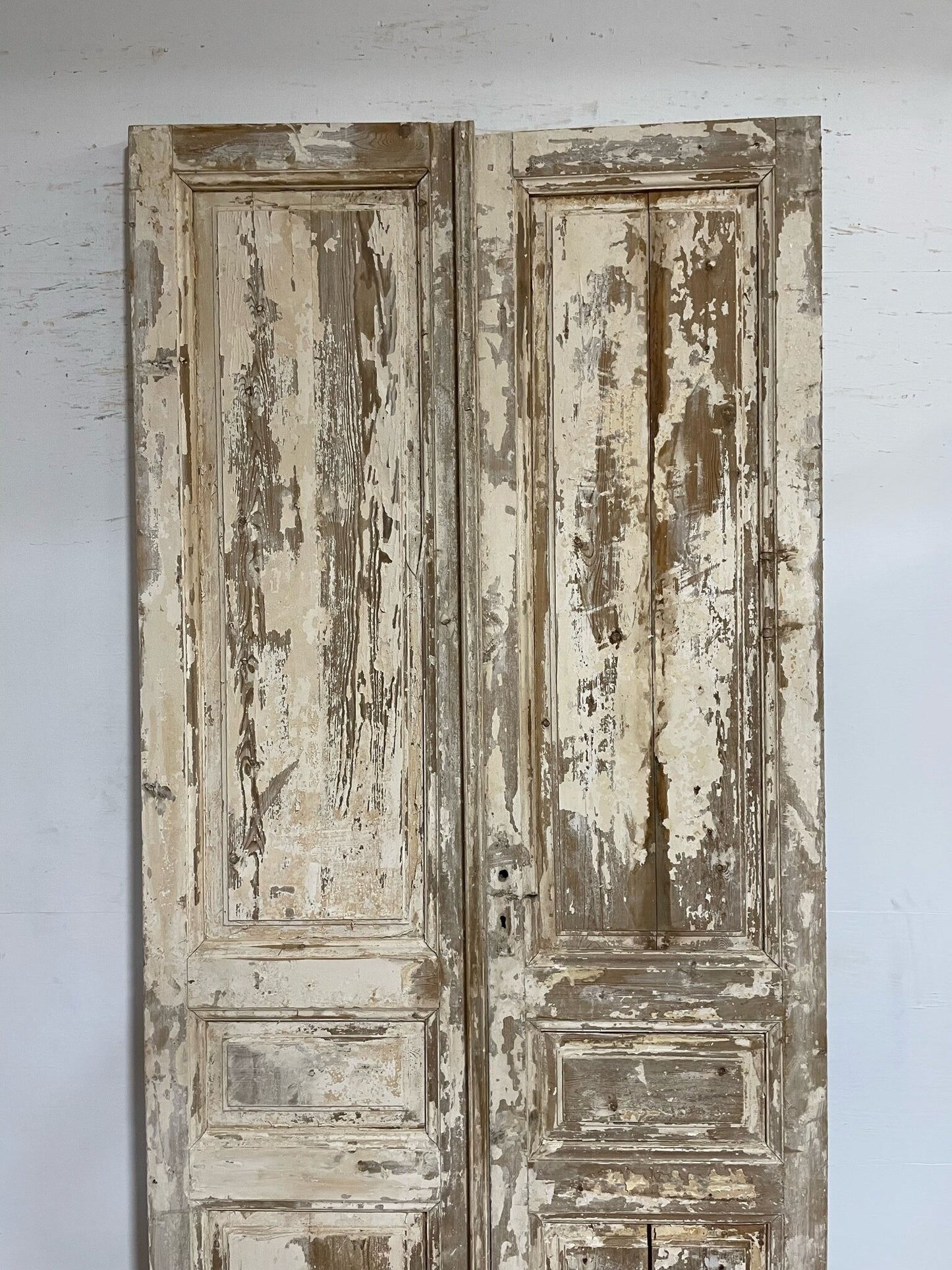 Antique French door (105.25x48.5) F0928