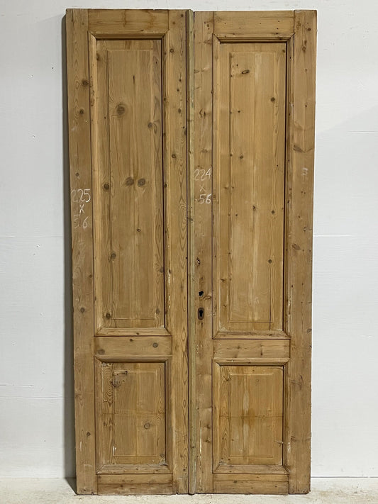 Antique French panel doors (88x44) H0049s