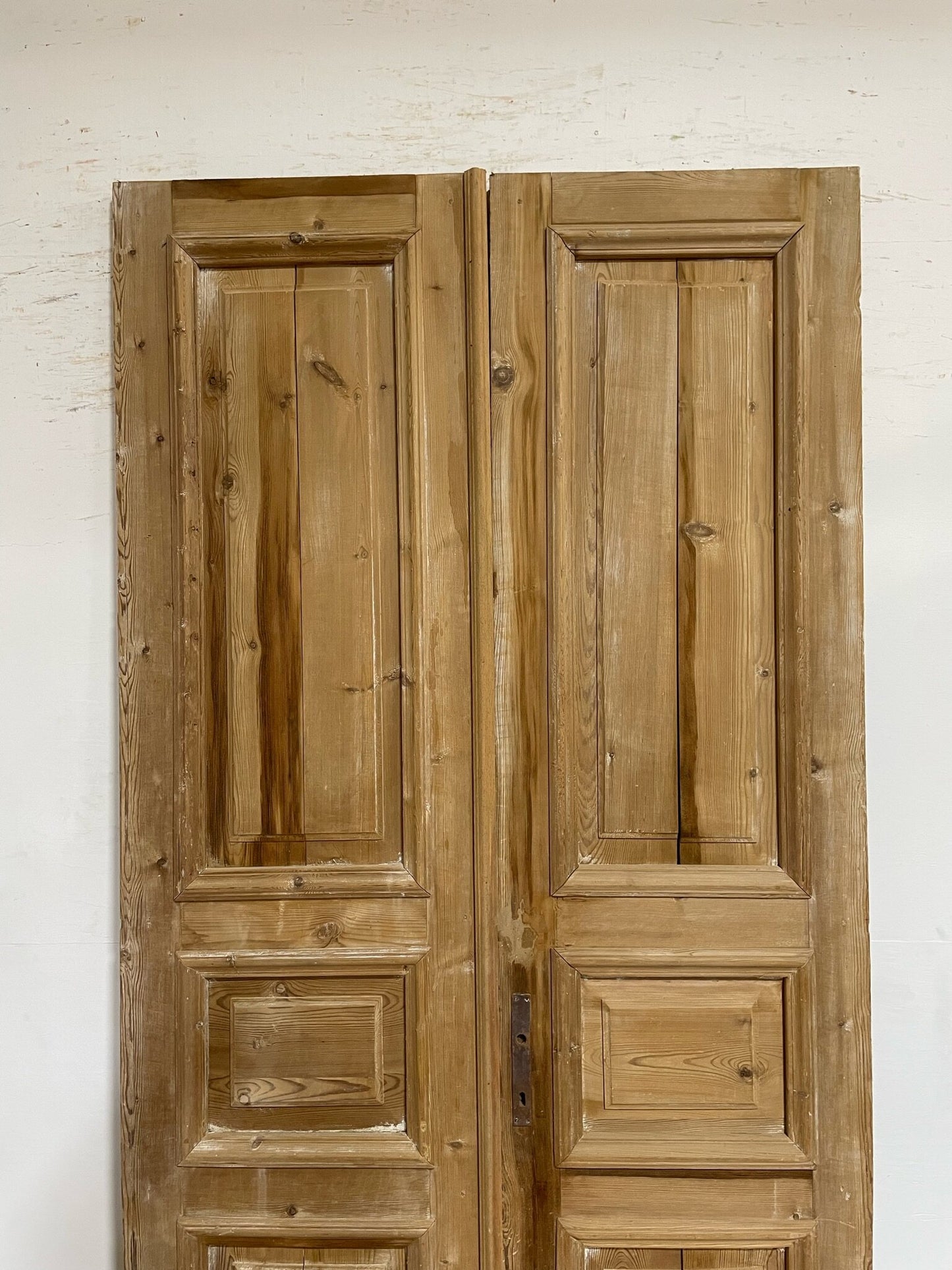 Antique French door (100.25x48.75) F0754