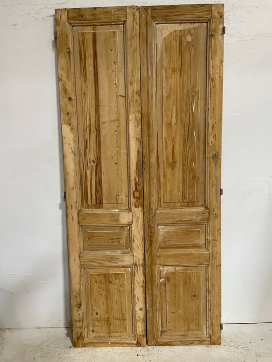 Antique French door (94.5x43) D344