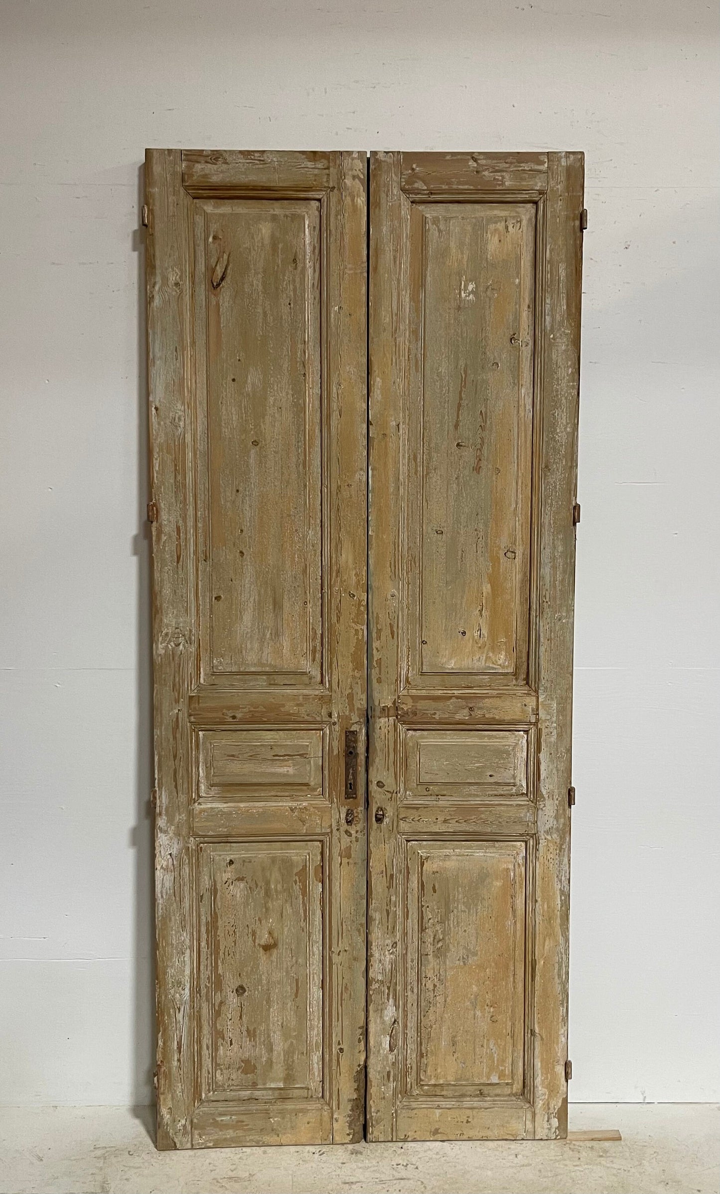 Antique French panel doors (98.5x42) G0053s