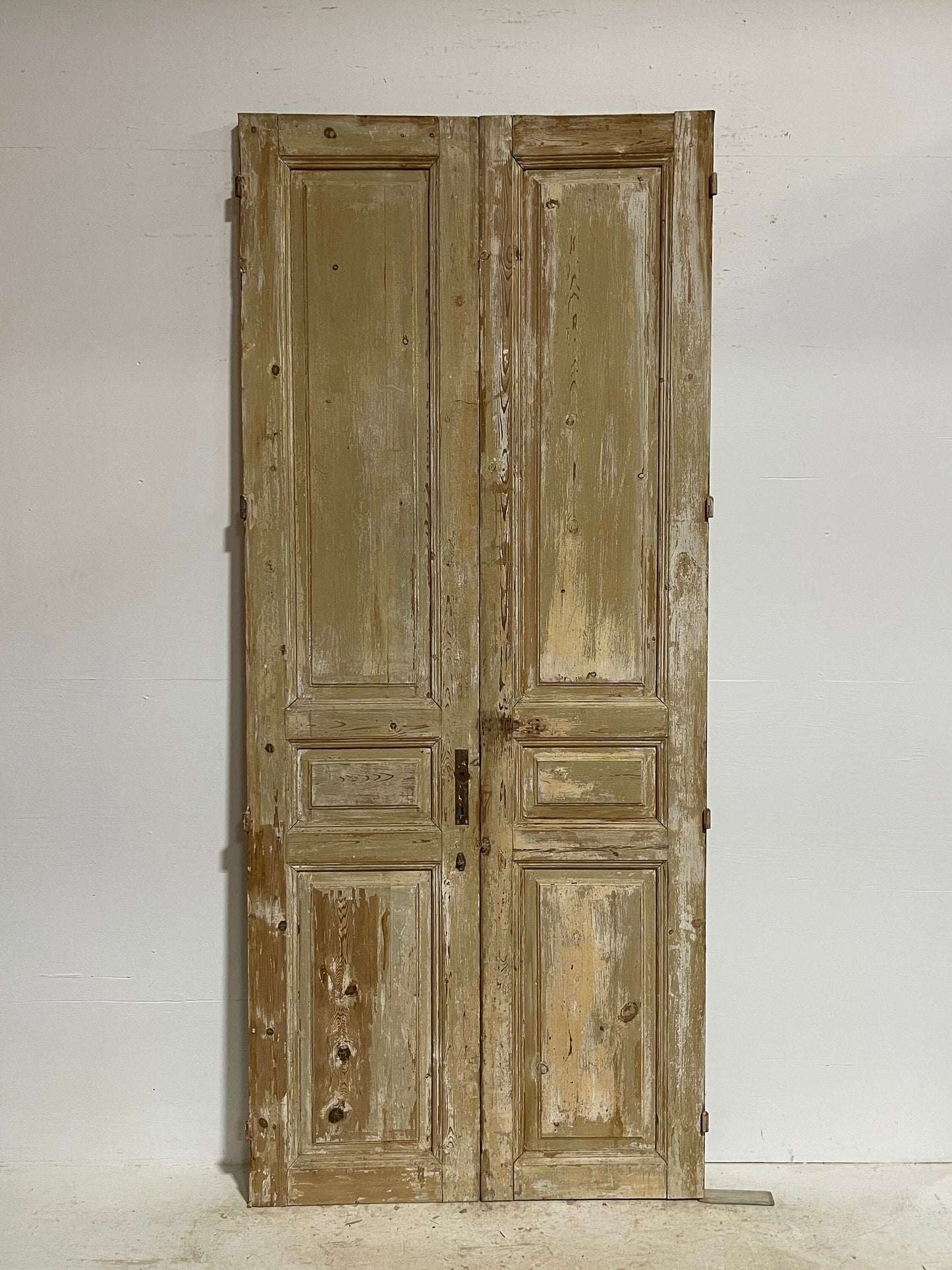 Antique French panel doors (98.5x42) G0066s
