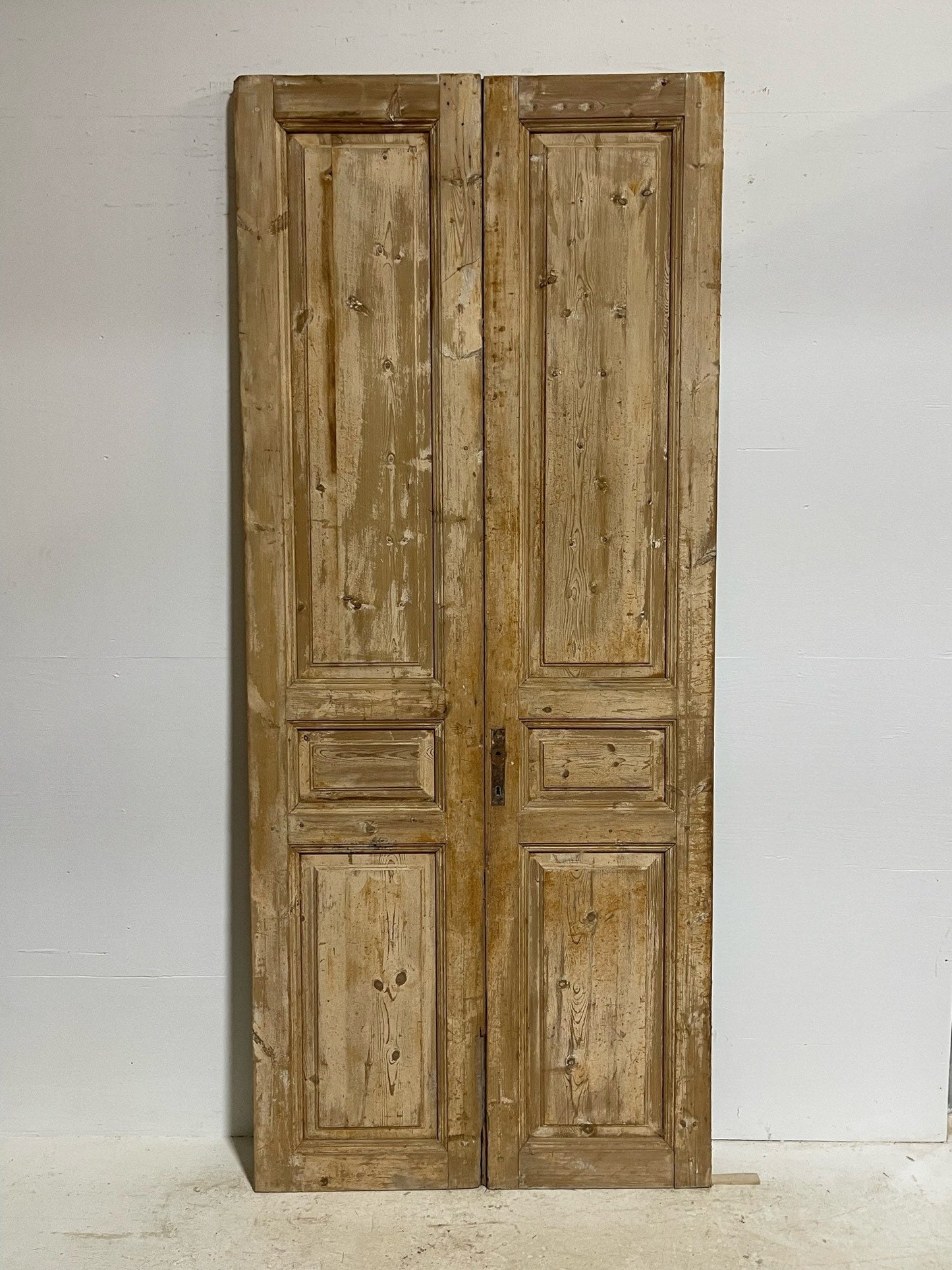 Antique French doors (98.5X41.75) G0077