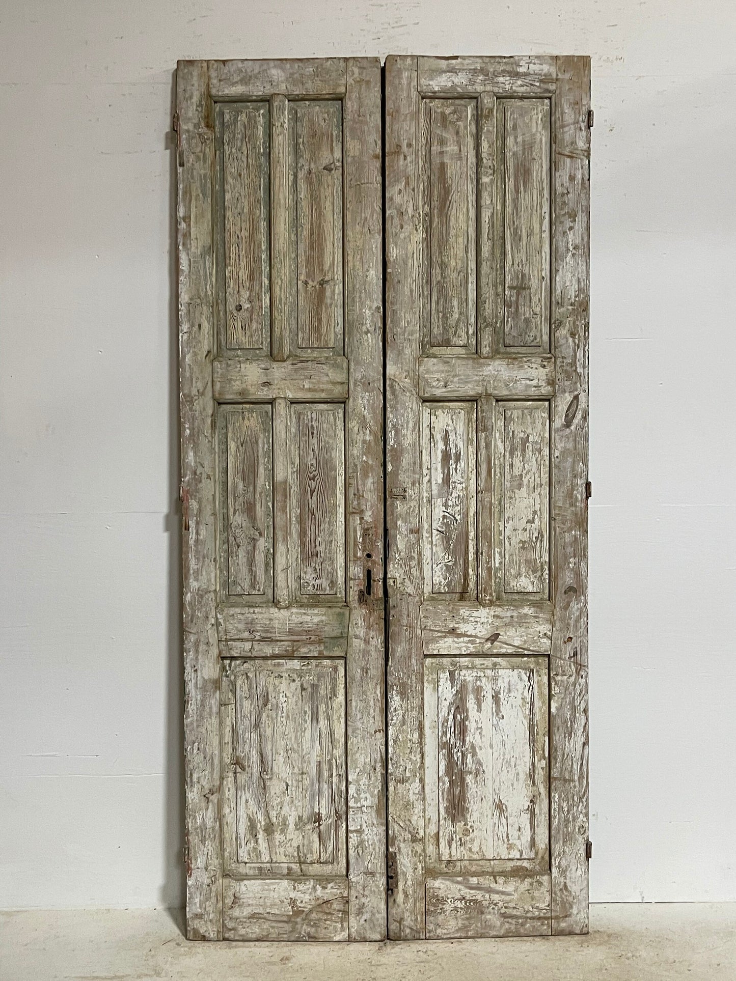 Antique French panel doors (97.5x45.25) G0123s