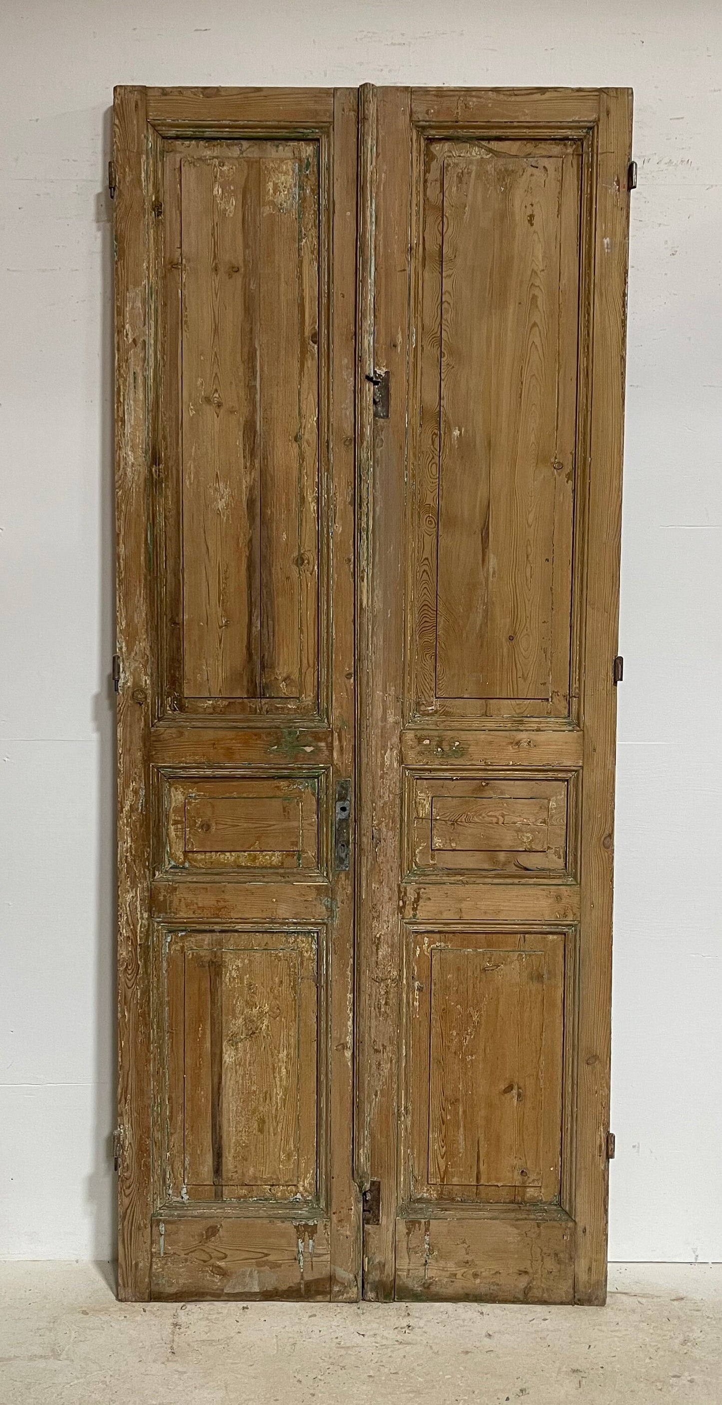 Antique French panel doors (102.5x42.75) G0134s