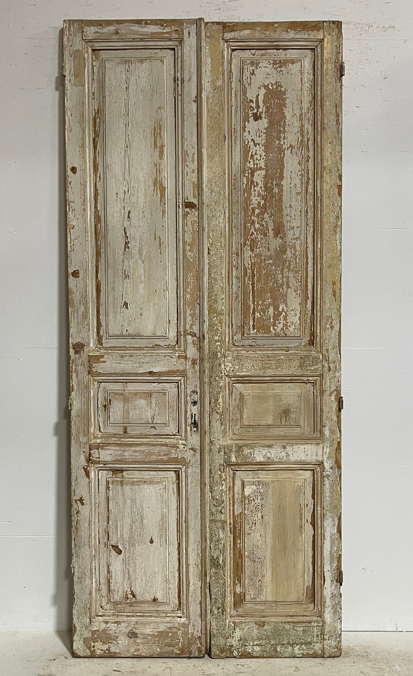 Antique French panel doors (98x42.25) G0145s