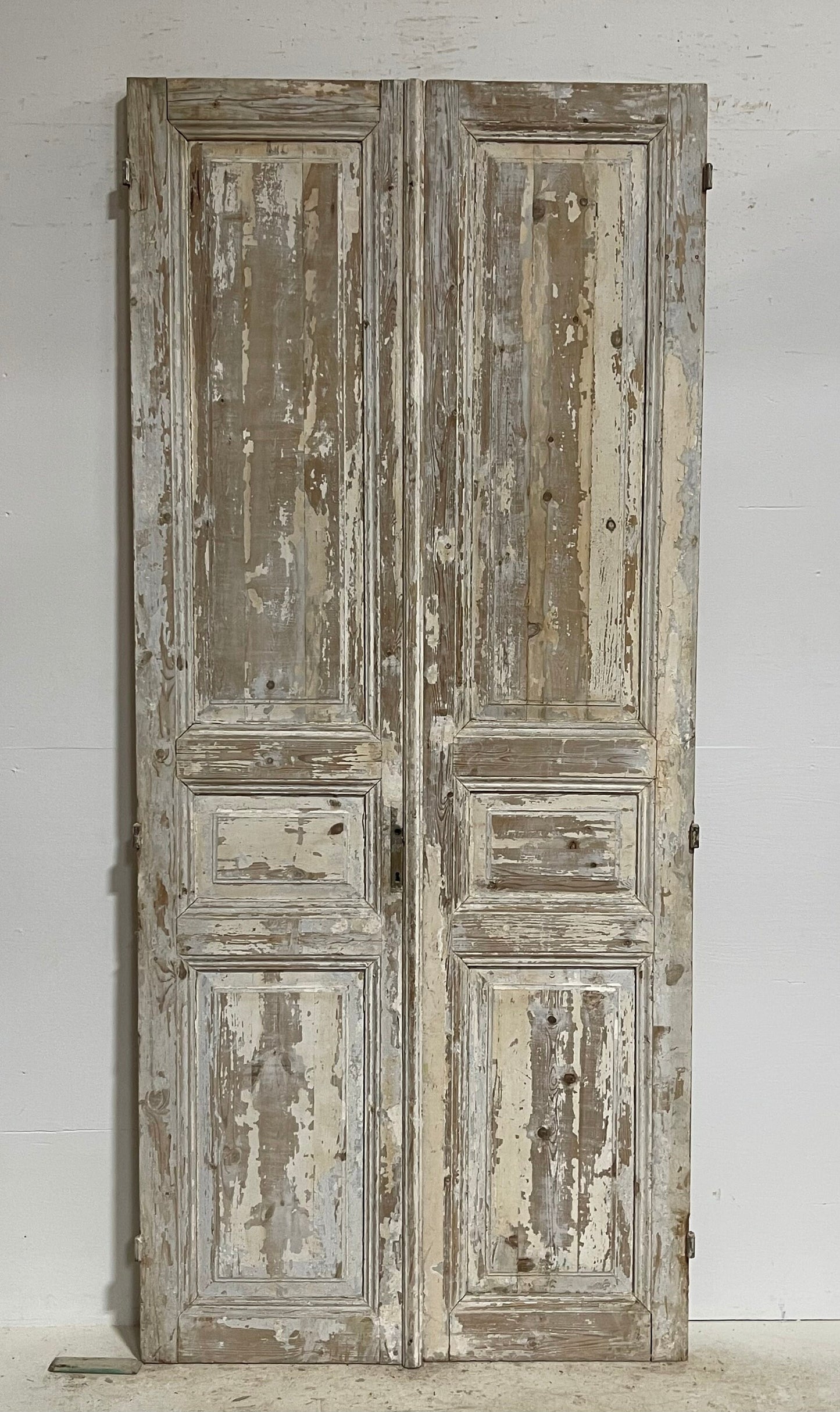 Antique French panel doors (98.5x43) G0146s