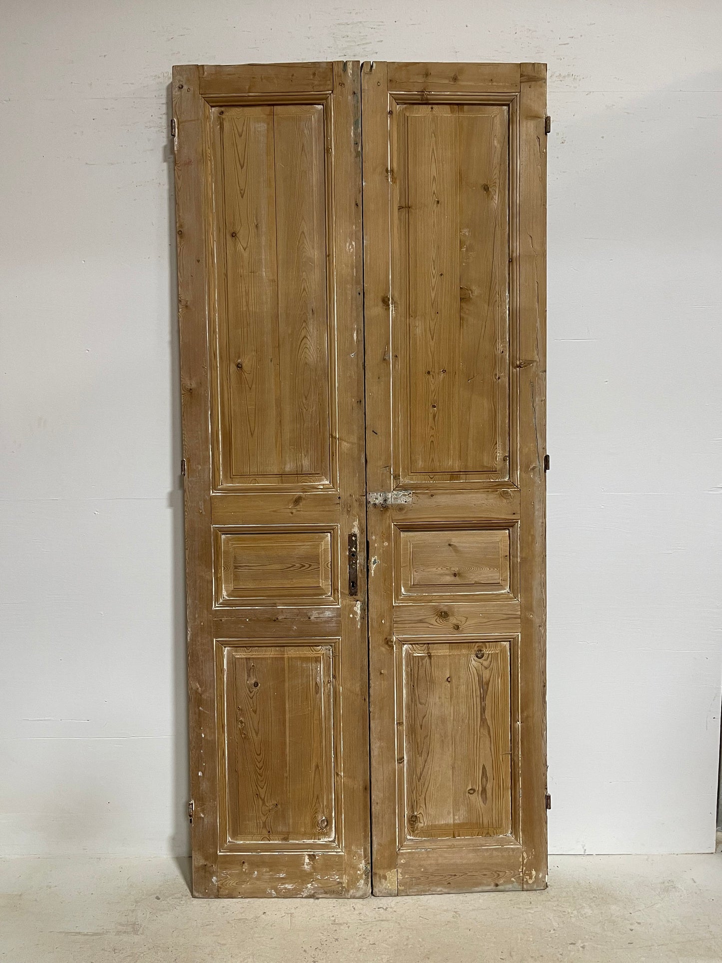 Antique French panel doors (98.5x43.25) G0150s
