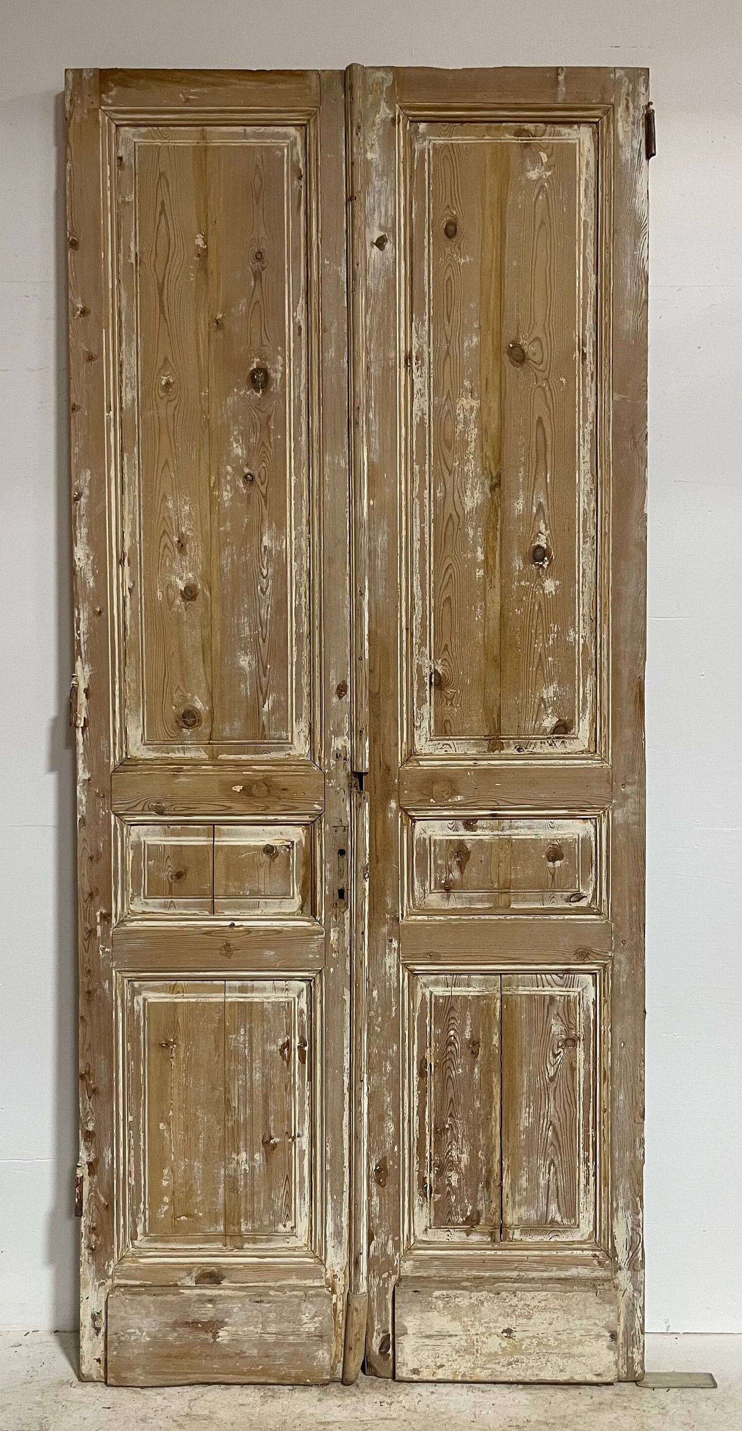 Antique French panel doors (113x49.25) G0050s