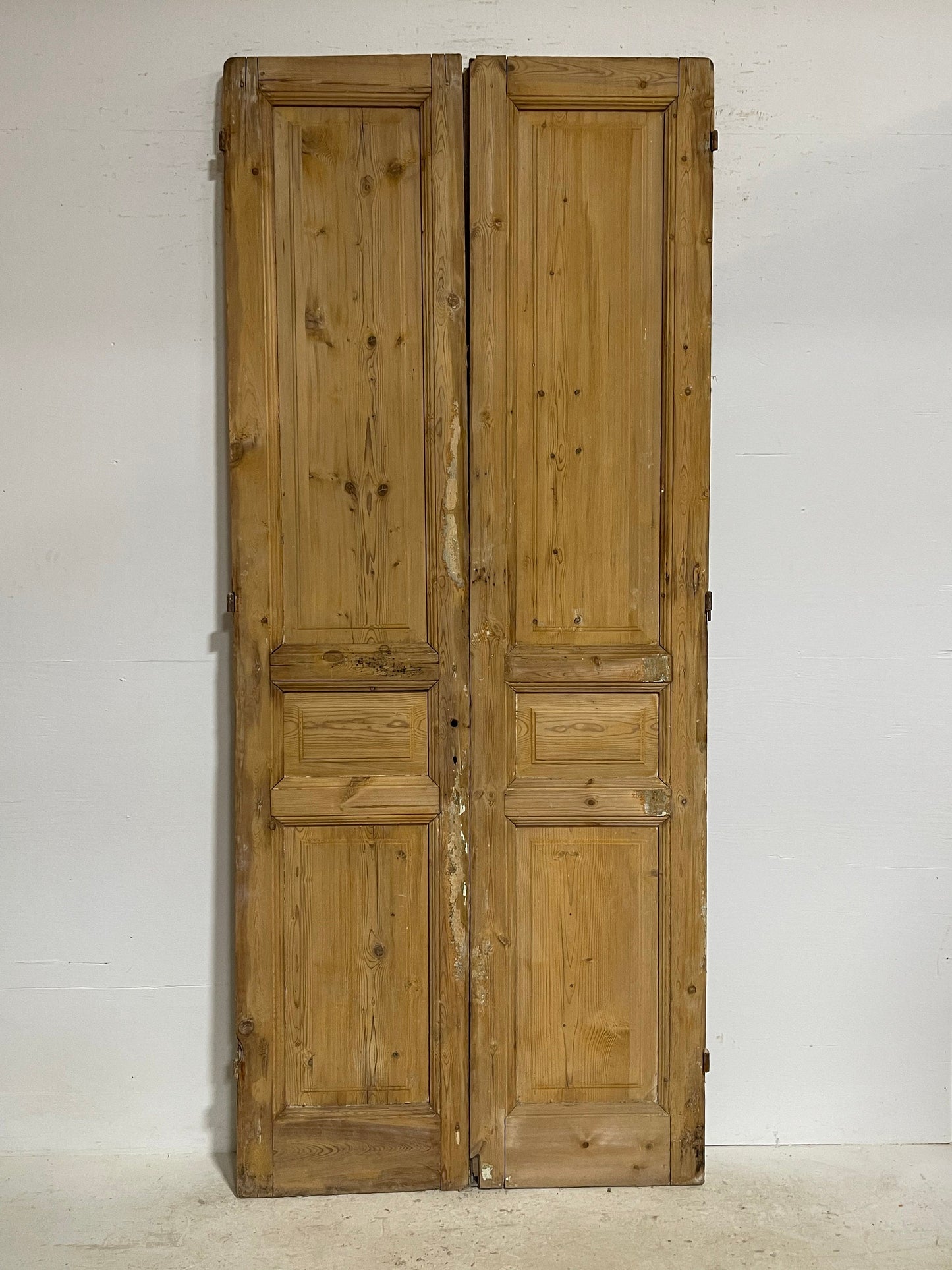 Antique French panel doors (101.5x42.5) G0181s