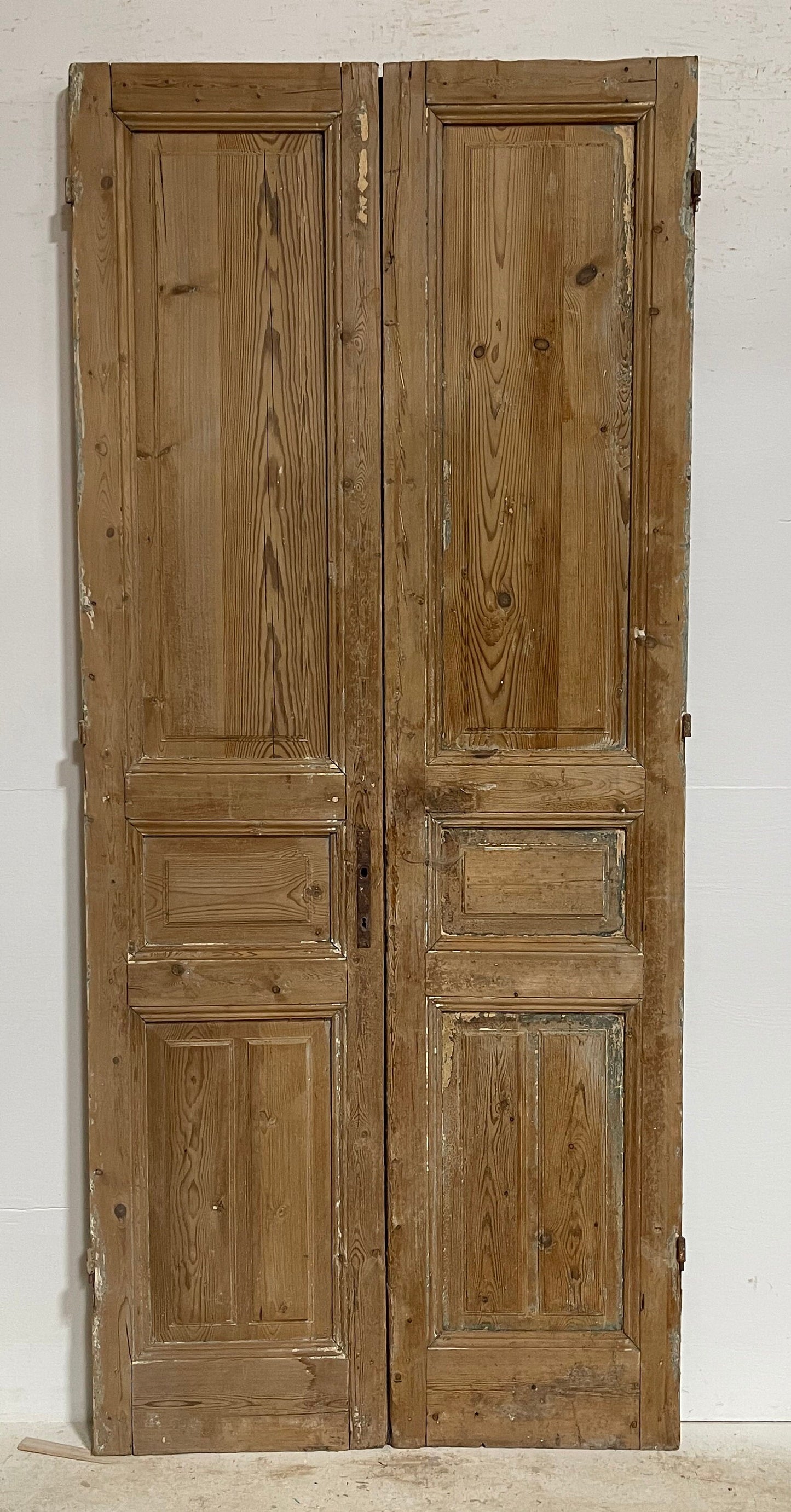 Antique French panel doors (97.5x42.5) G0200s