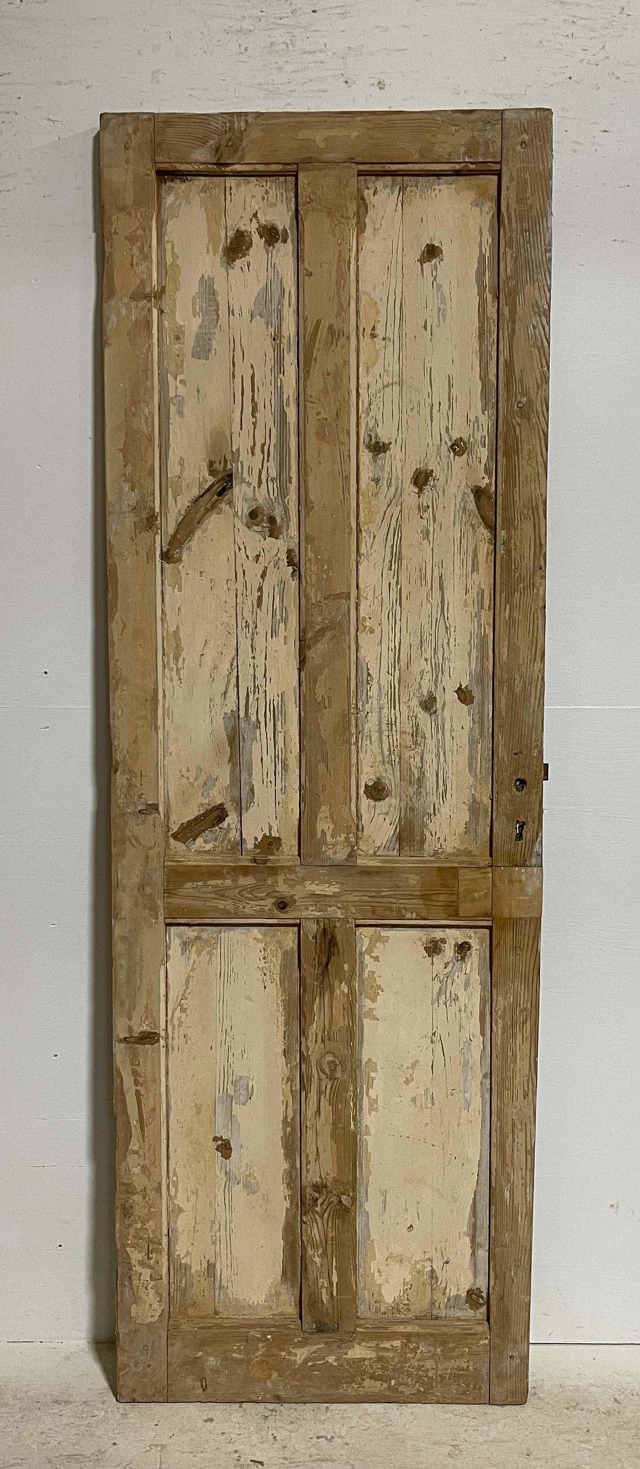 Antique French panel door (87x29.25) G1214s