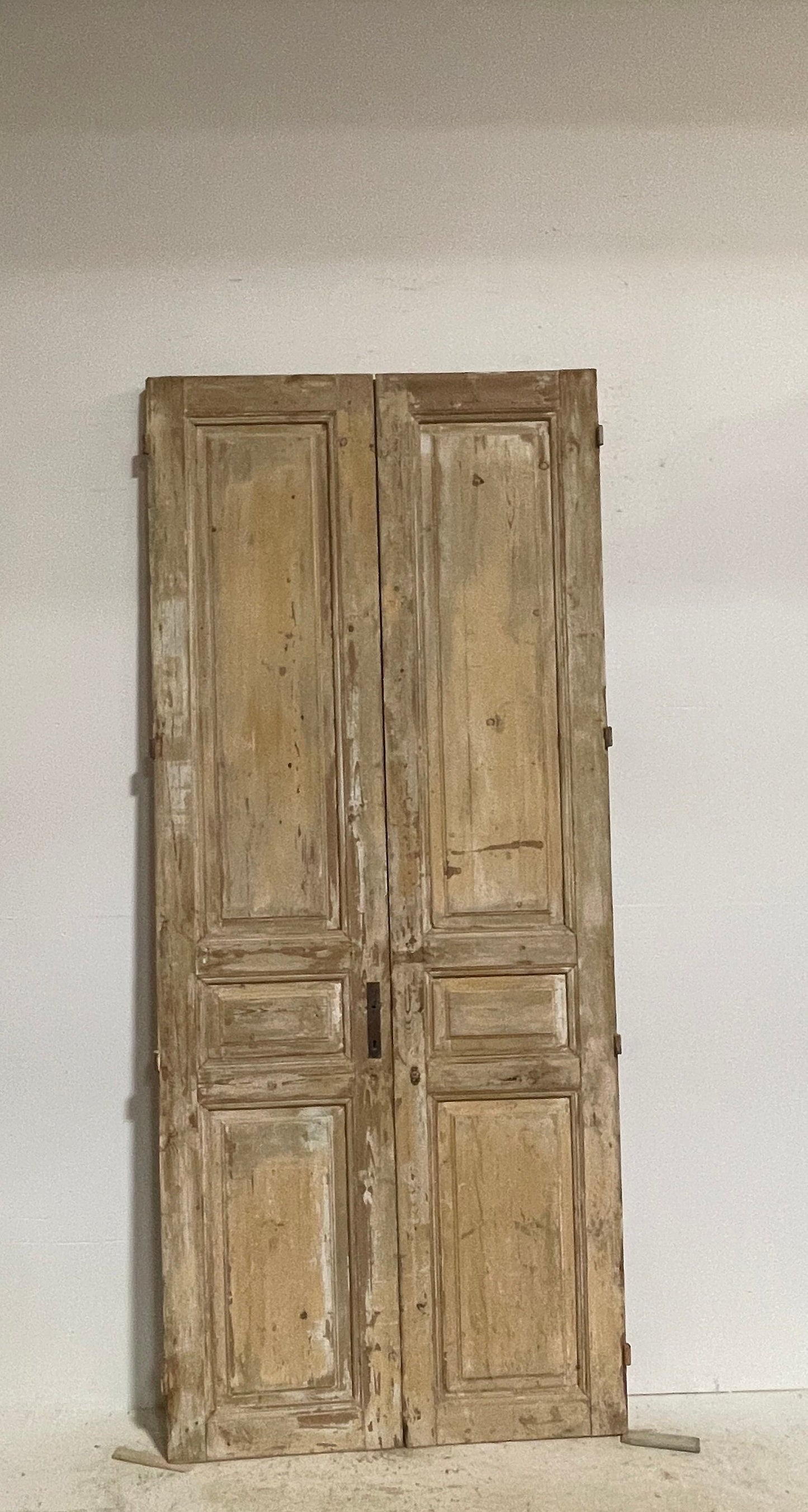 Antique French panel doors (98.5x42) G0058Bs