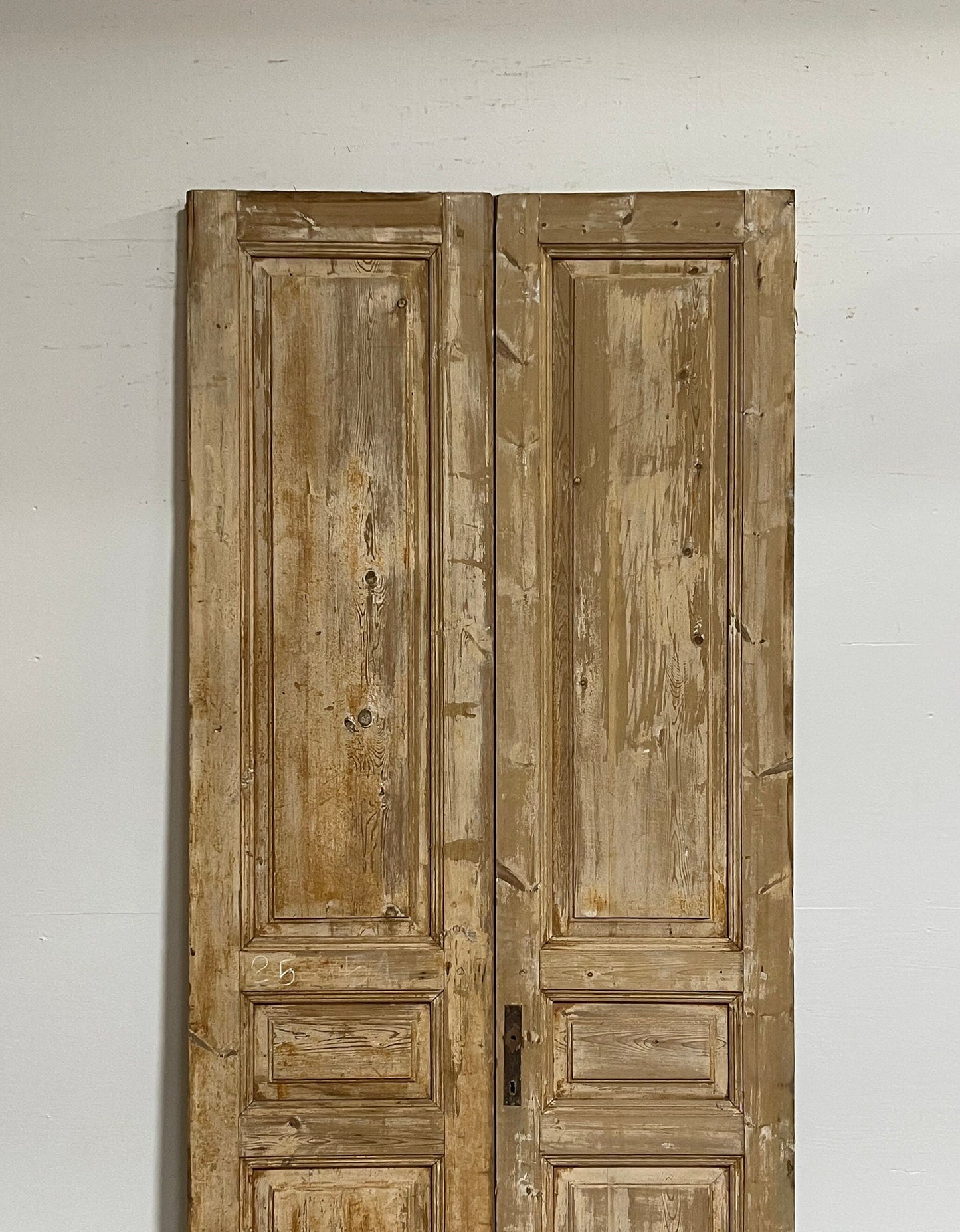 Antique French panel doors (98.5x42) G0066s