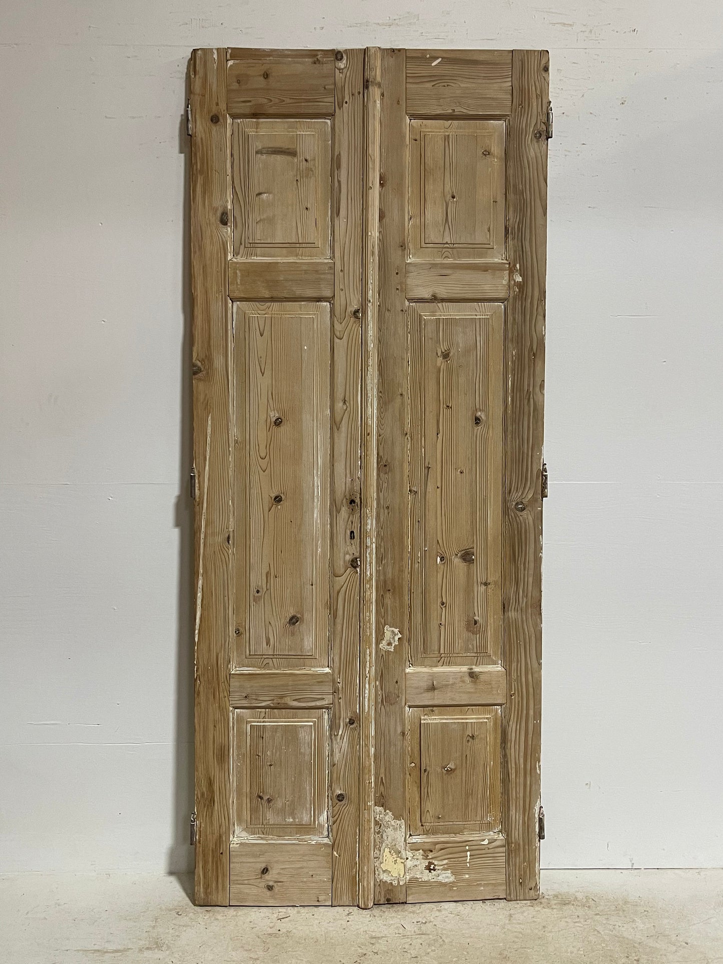 Antique French panel doors (95.25x39.25) G0068s