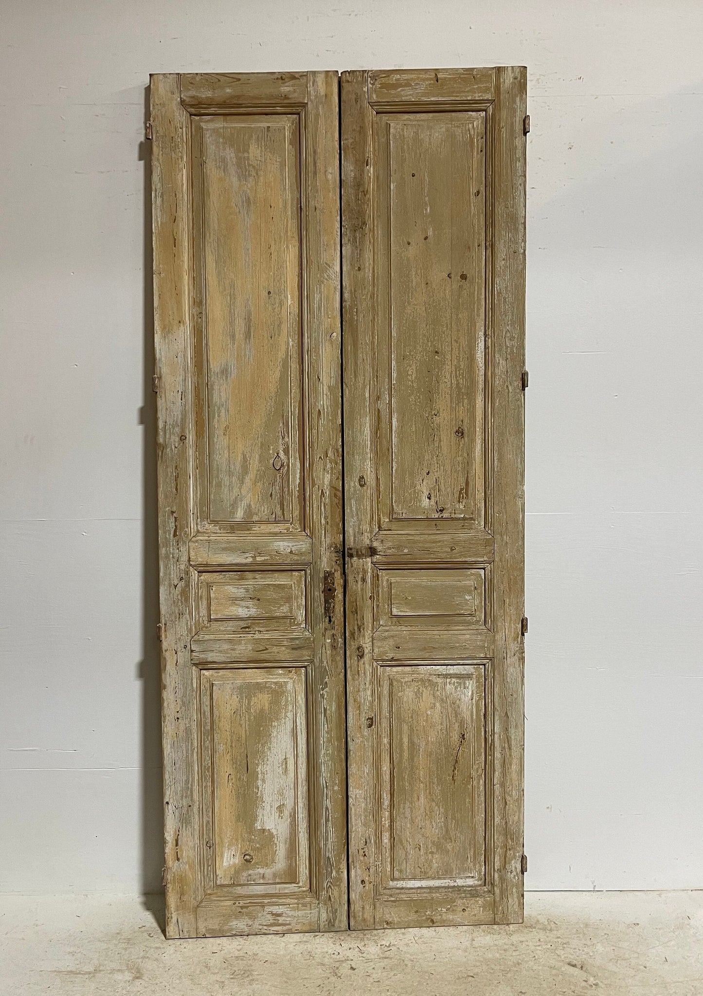 Antique French panel doors (98.5x42) G0074s