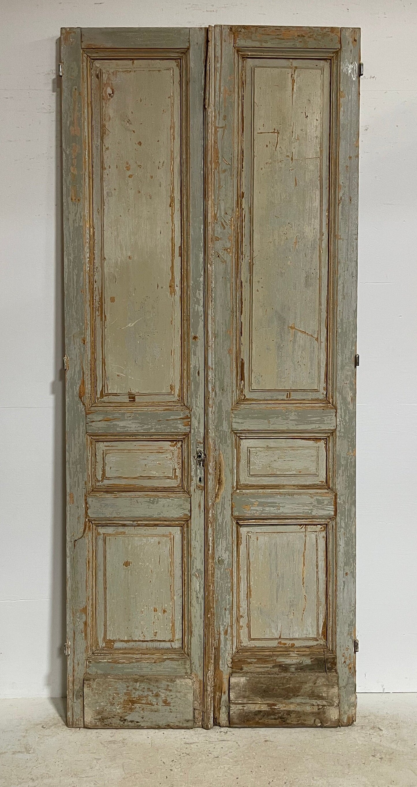 Antique French panel doors (104.5x44) G0090s