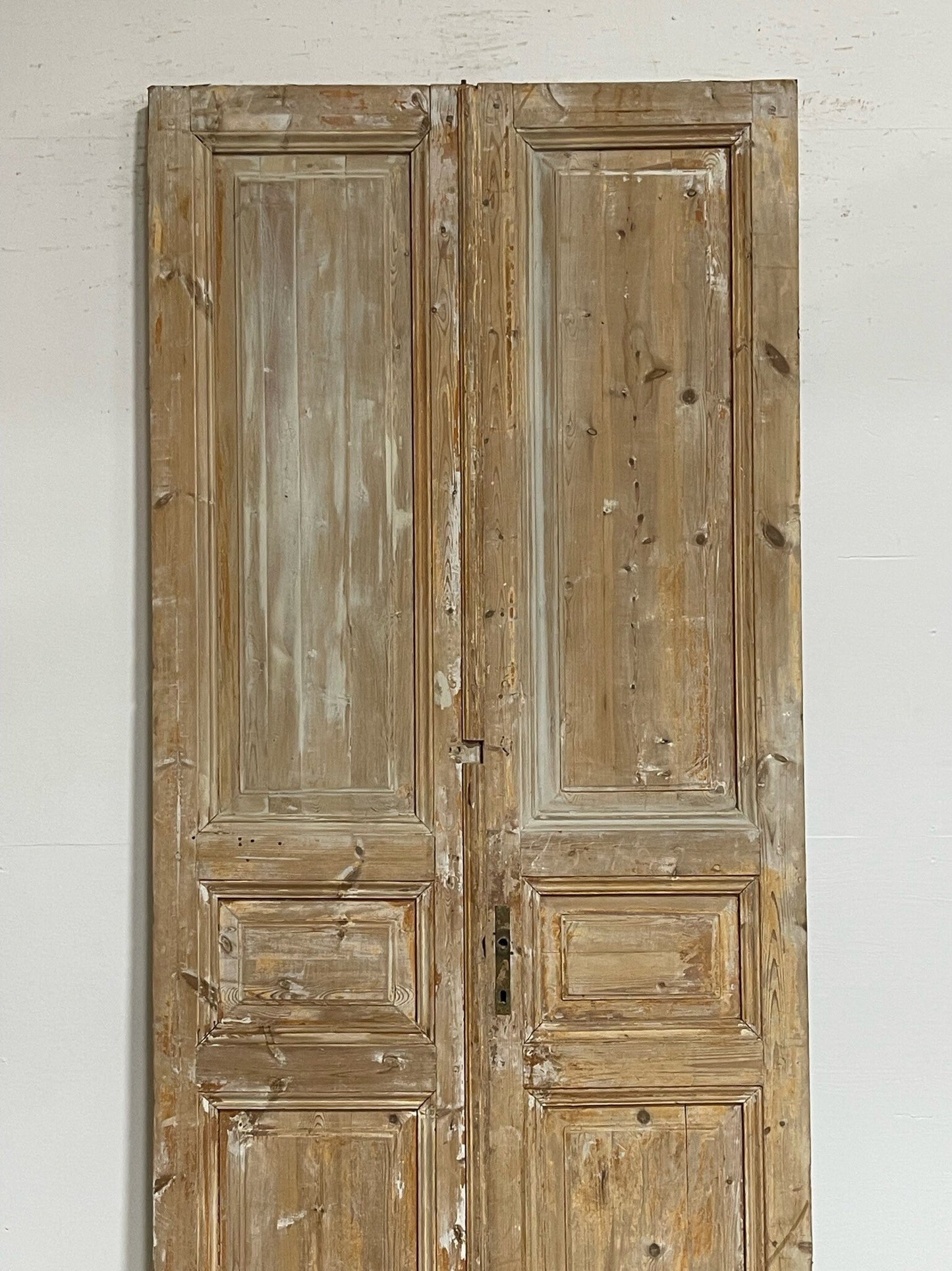 Antique French doors (98.5X43.25) G0168