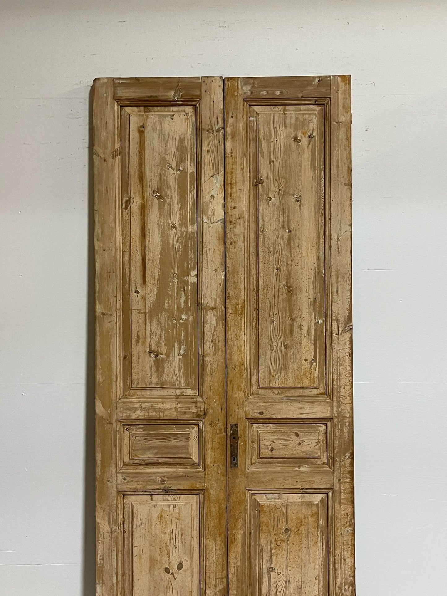 Antique French doors (98.5X41.75) G0077
