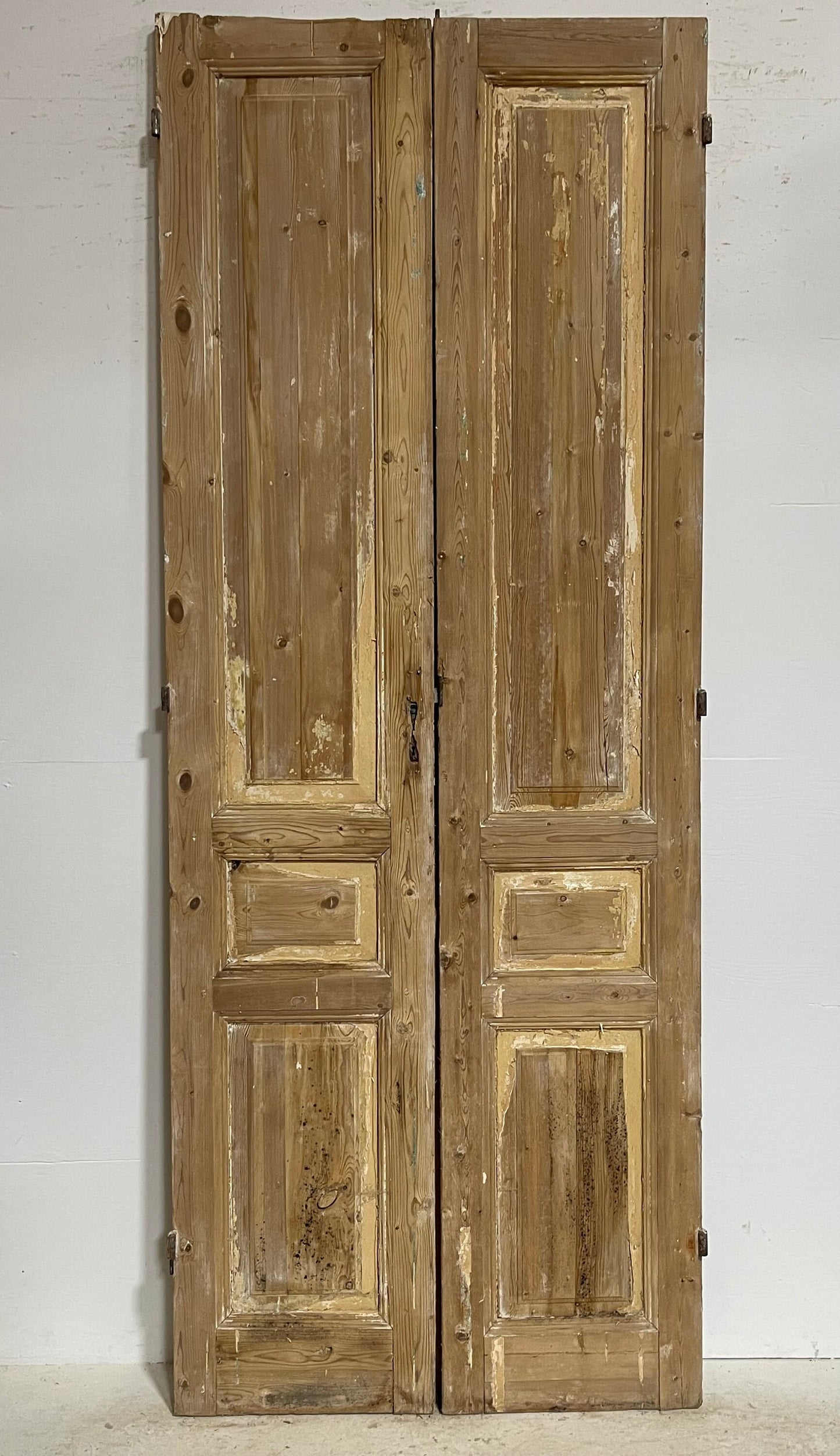 Antique French panel doors (100.5x38.75) G0139s