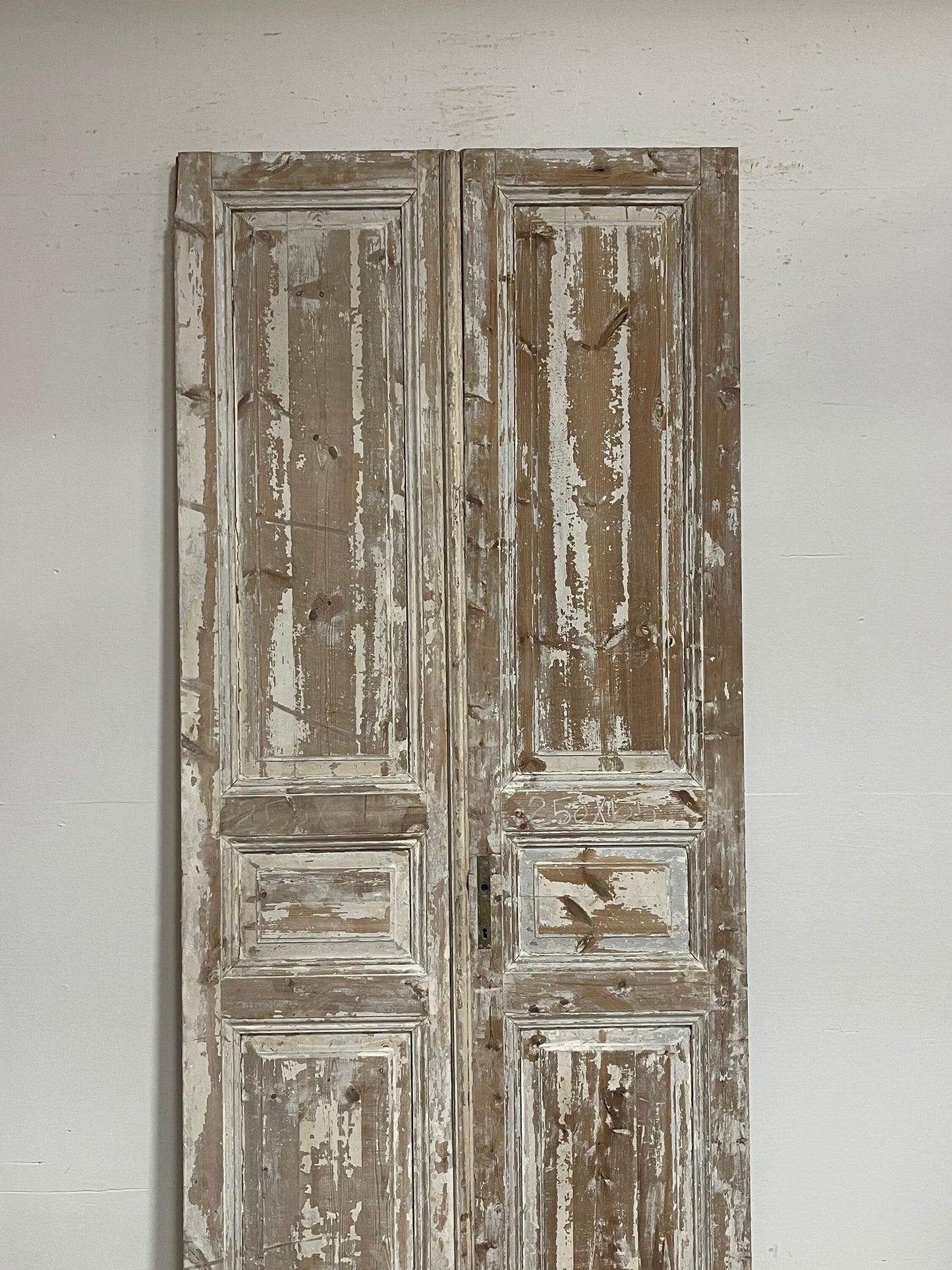 Antique French panel doors (98.5x43.25) G0155s