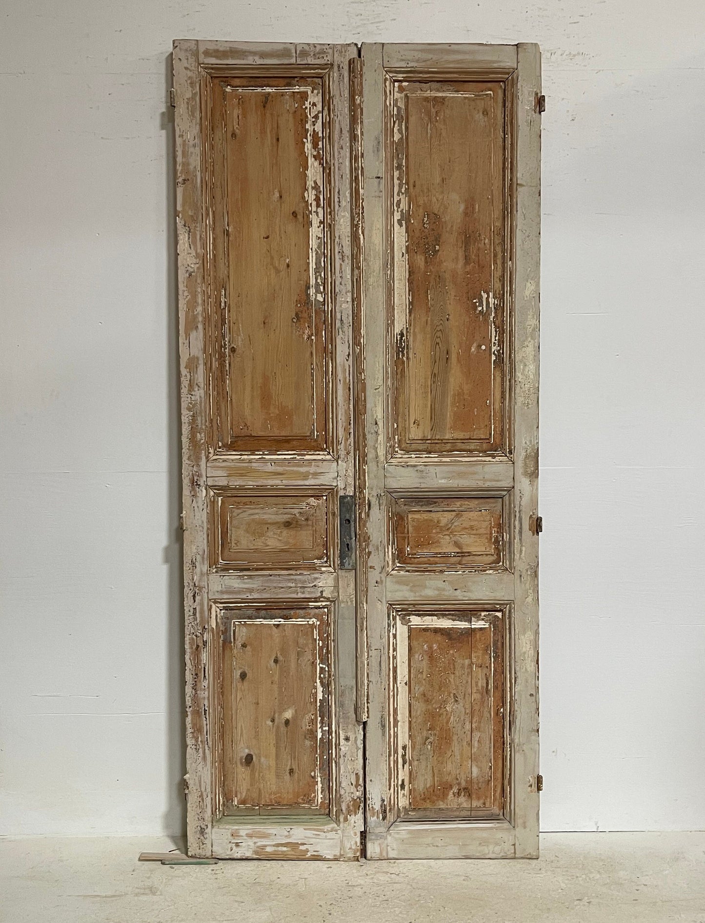 Antique French panel doors (98.5x43.5) G0158s