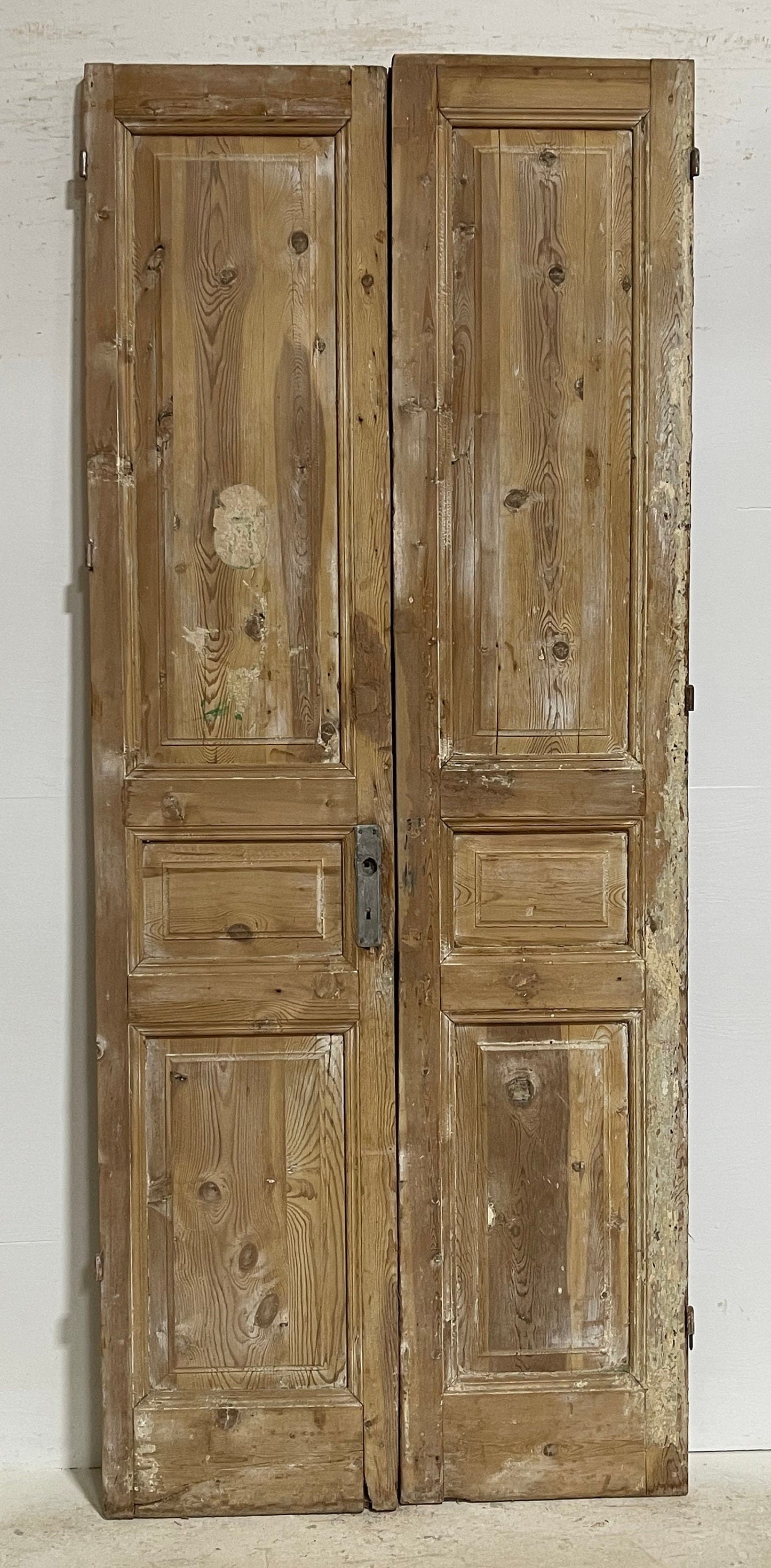 Antique French panel doors (96x39.75) G0184s