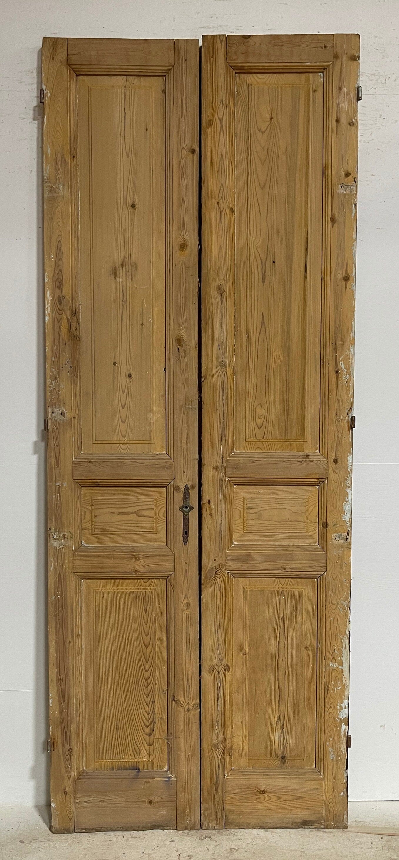 Antique French panel doors (101.5x39.5) G0195s