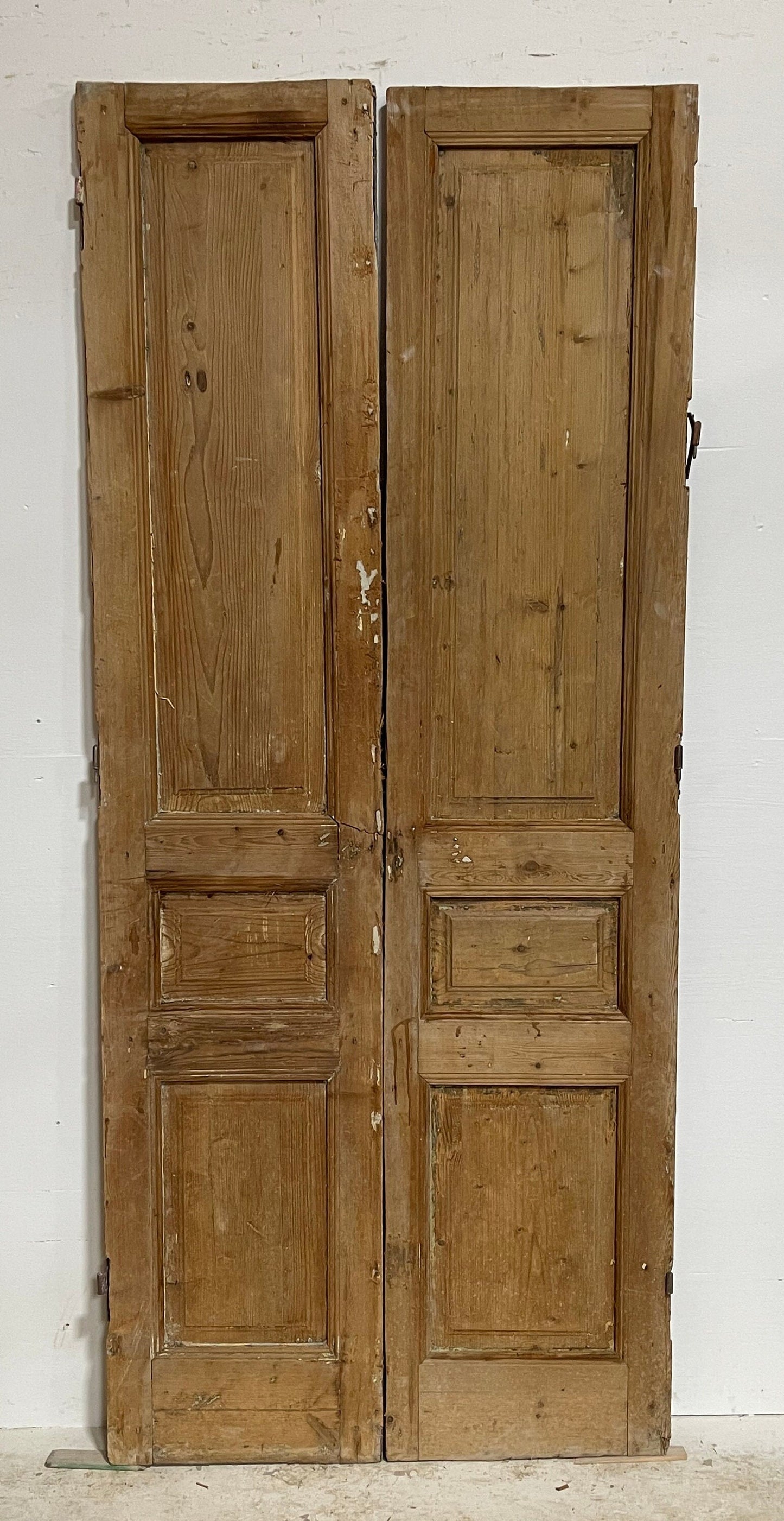Antique French panel doors (90x38.25) H0061s