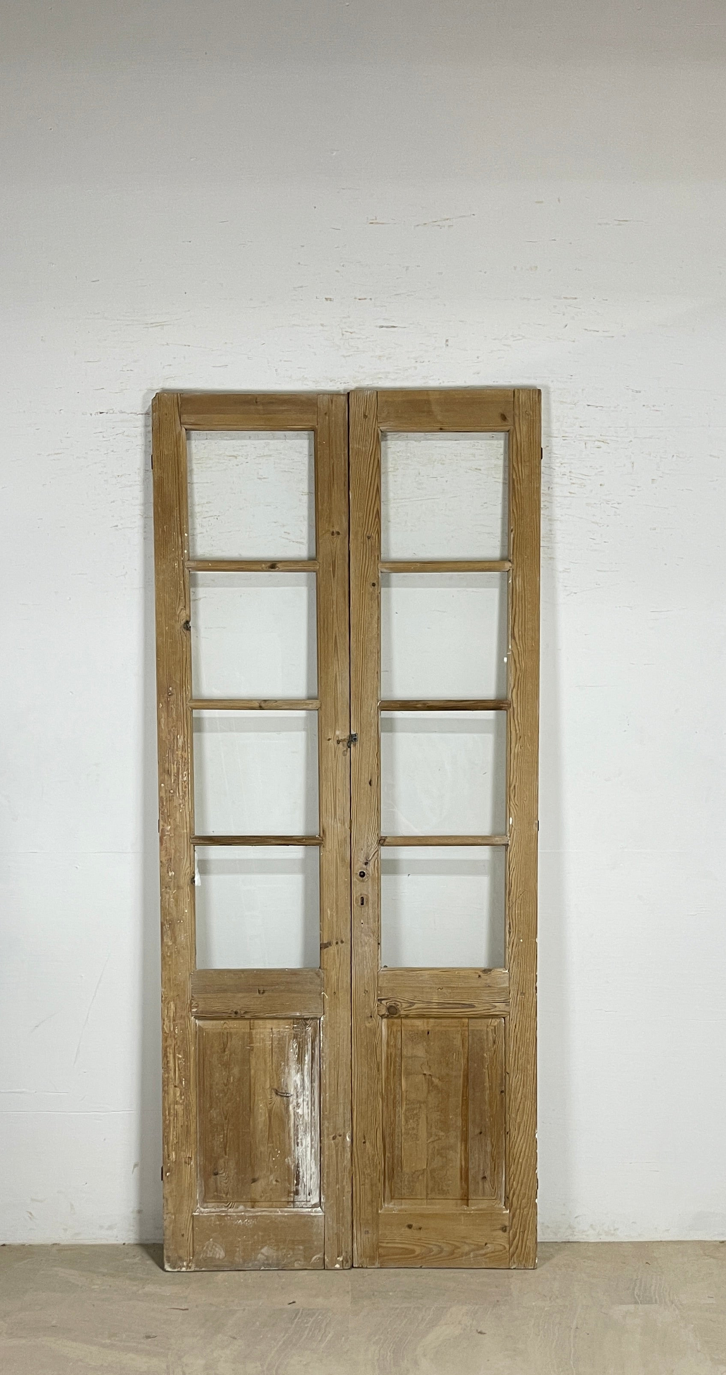 Antique French panel doors with Glass (100x43.5) P161