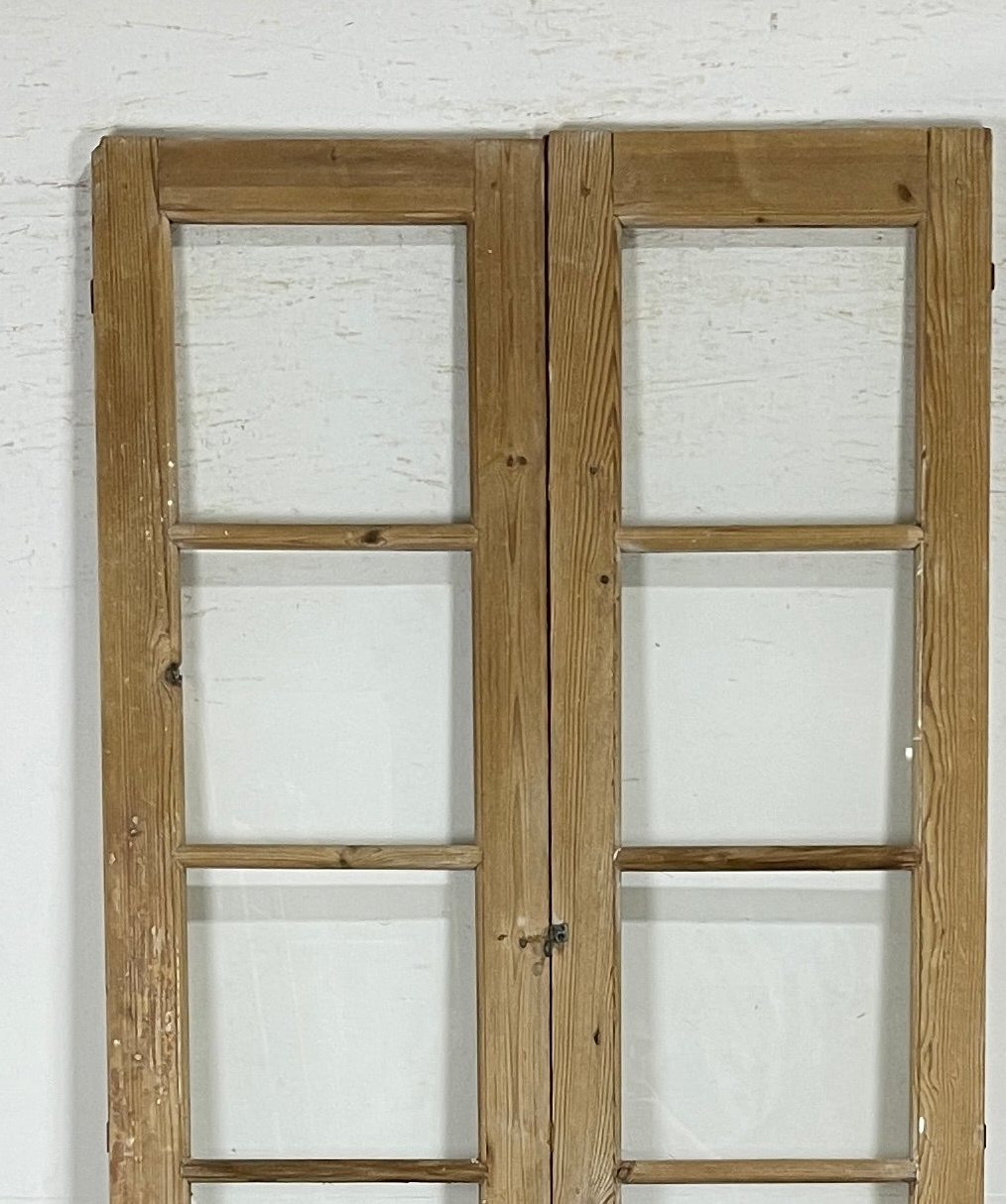 Antique French panel doors with Glass (100x43.5) P161