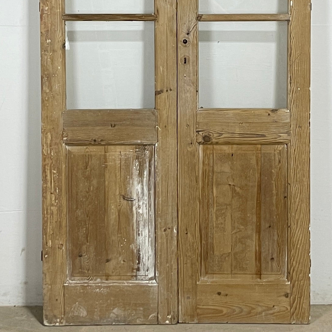 Antique French panel doors with Glass (100x43.5) P161