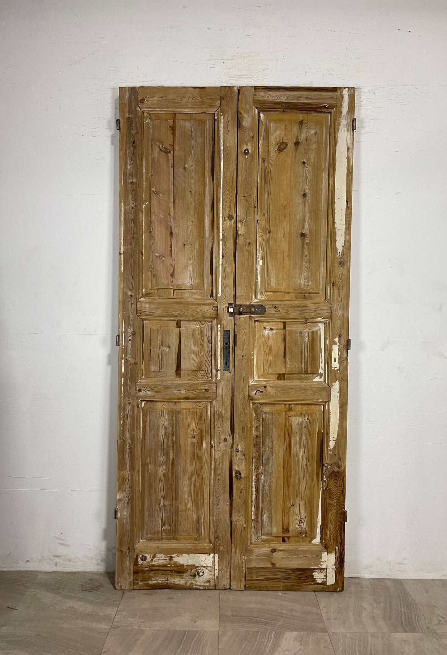 Antique French panel Doors (94.25 x 43.75)    N138