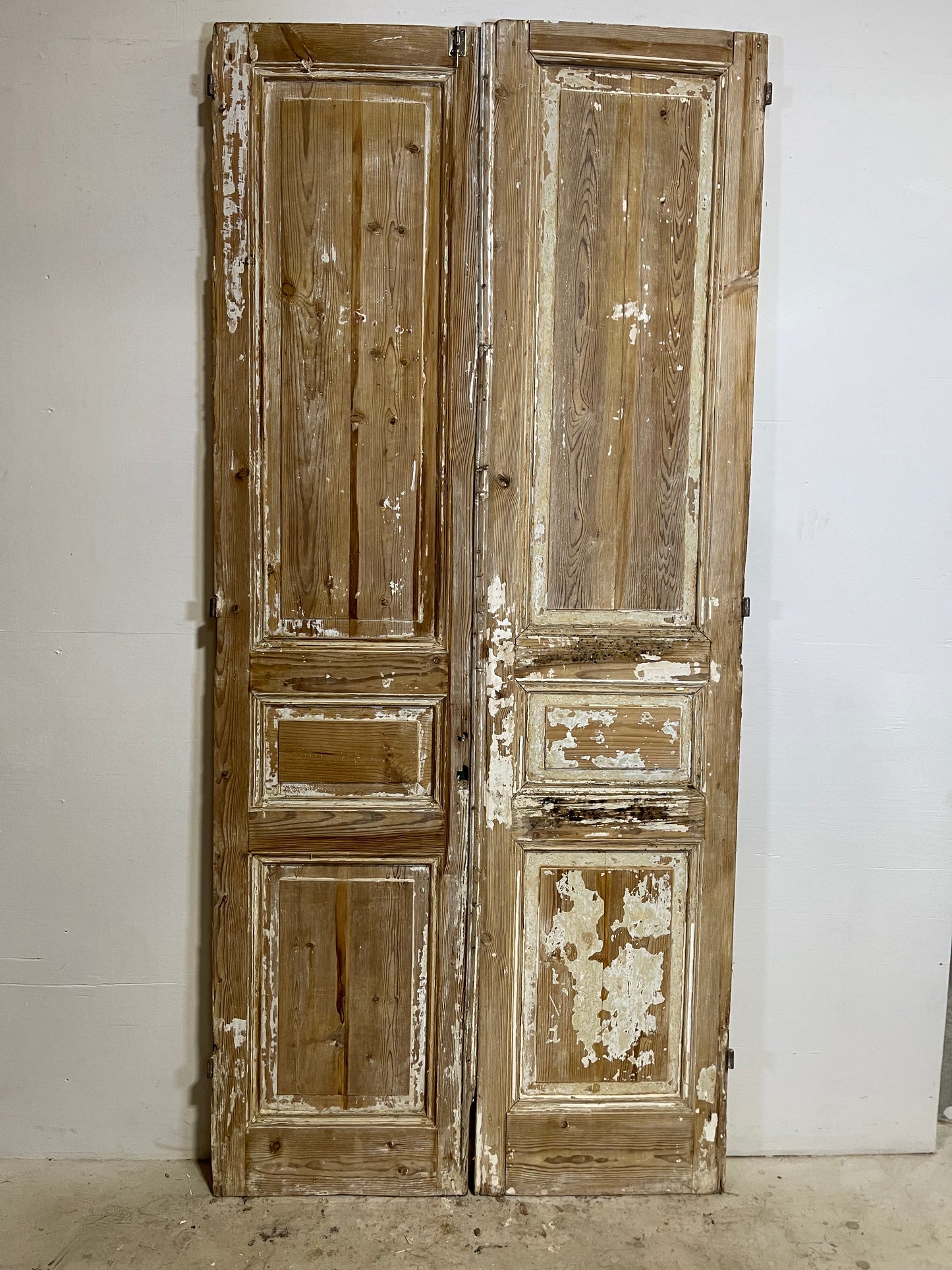 Antique French panel Doors (96.5x44) L266
