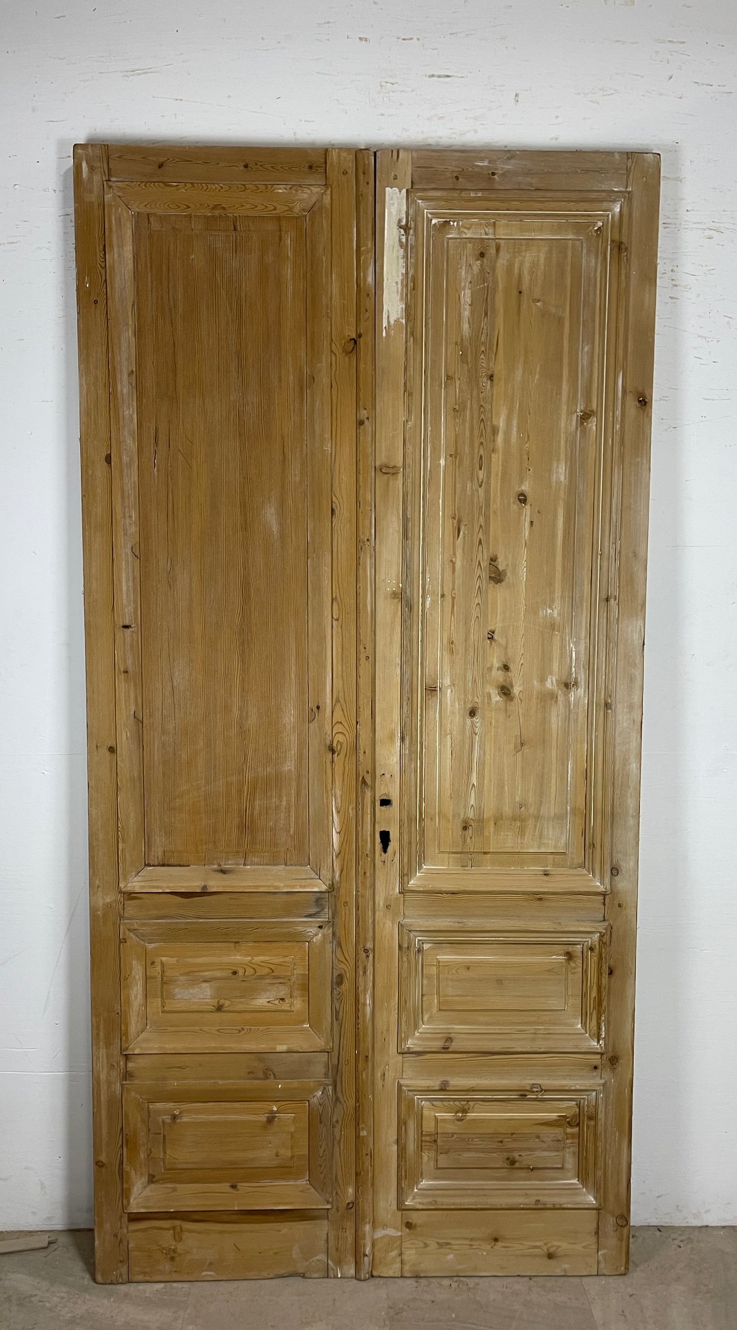 Antique French panel doors with Carvings (100 x 50) P54
