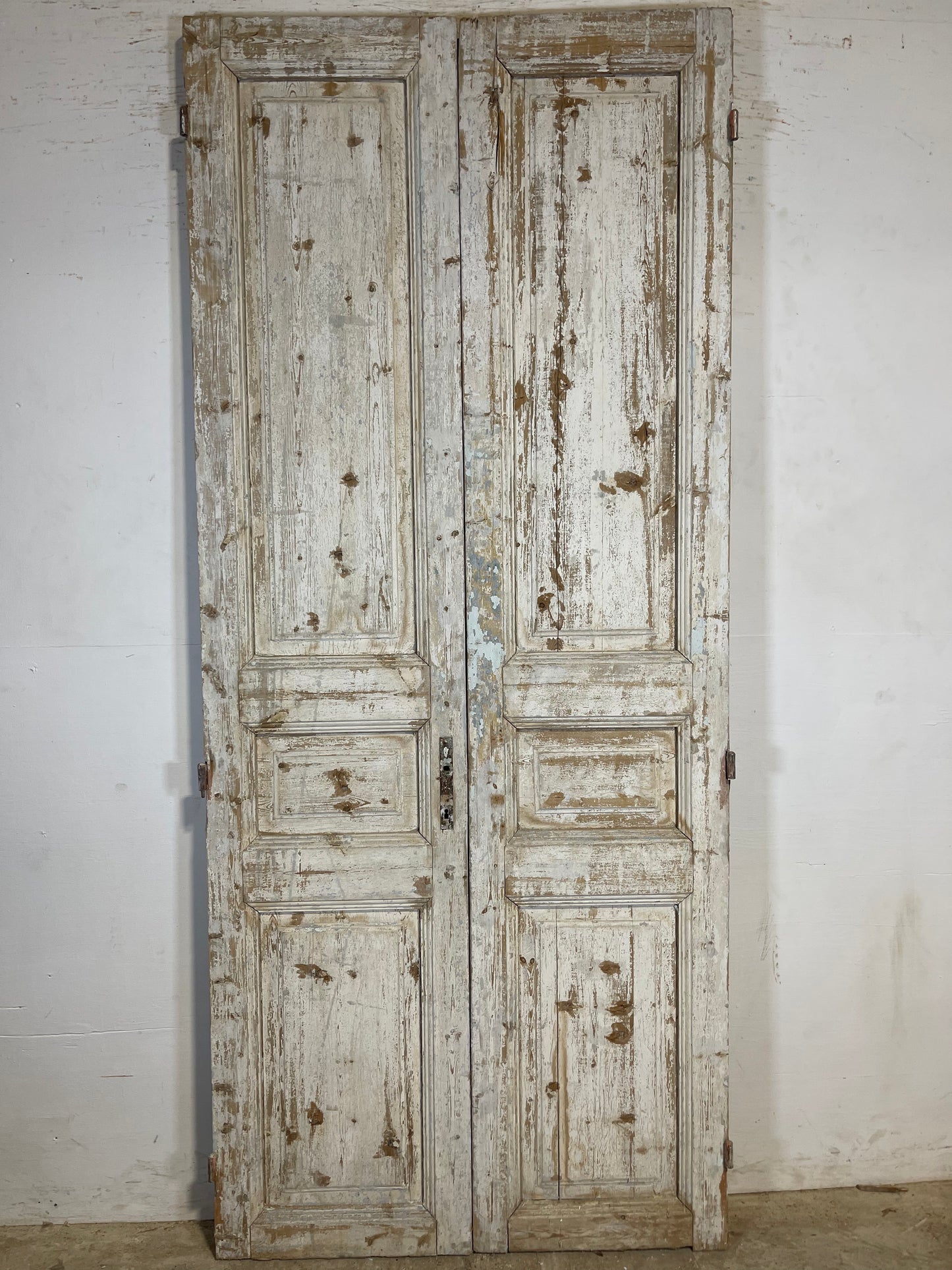 Antique French panel Doors (94.25 x 40.5) K645