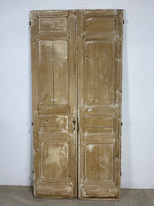 Antique French panel Doors (91 x 43) O126